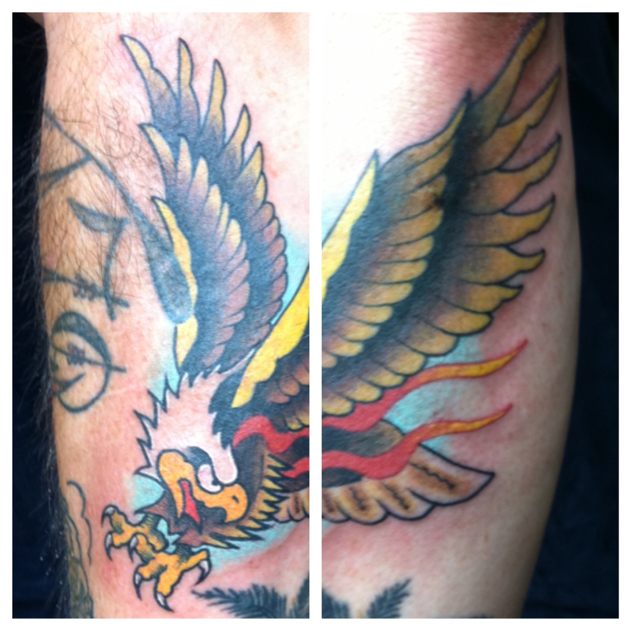 kyle lavorgna lark tattoo lark tattoo kyle lavorgna lark tattoo lark tattoo