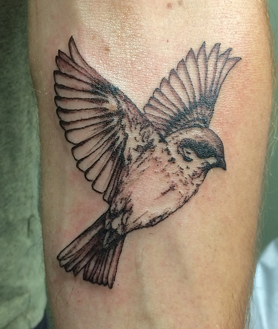 kara kniffen lark tattoo lark tattoo kara kniffen lark tattoo lark tattoo
