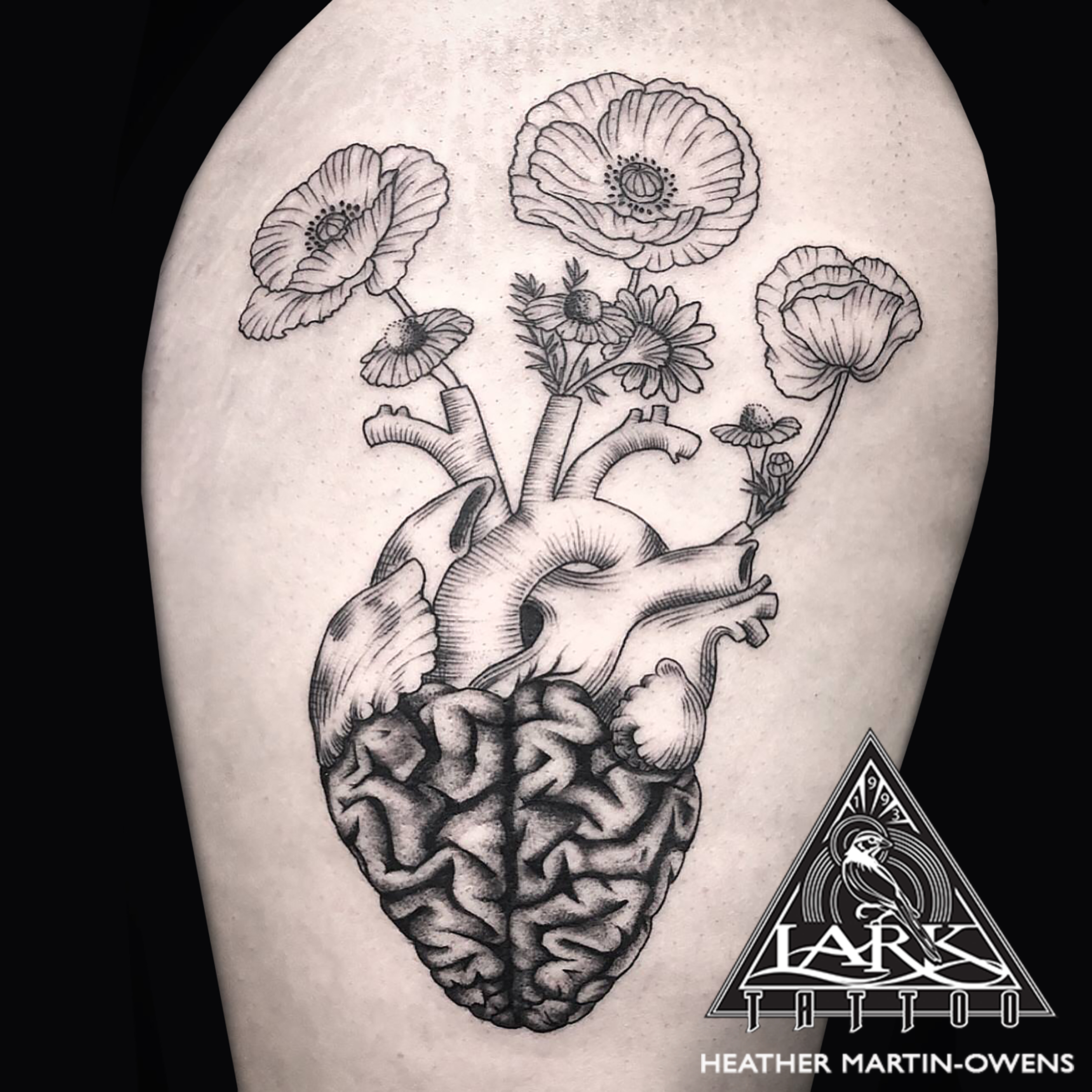 #AnatomicalHeart #AnatomicalHeart #etching #etchingtattoo #bookplate #bookplatetattoo #heart #hearttattoo #dotwork #dotworktattoo #tattoodotwork #flowertattoo #bngtattoo #blackandgraytattoo #blackandgreytattoo #bngsociety #braintattoo #AnatomicalBrain #AnatomicalBrainTattoo #tattoo #tattoos #tat #tats #tatts #tatted #tattedup #tattoist #tattooed #inked #inkedup #ink #tattoooftheday #amazingink #bodyart #tattooig #tattoosofinstagram #instatats #larktattoo #larktattoos #larktattoowestbury #westbury #longisland #NY #NewYork #usa #art