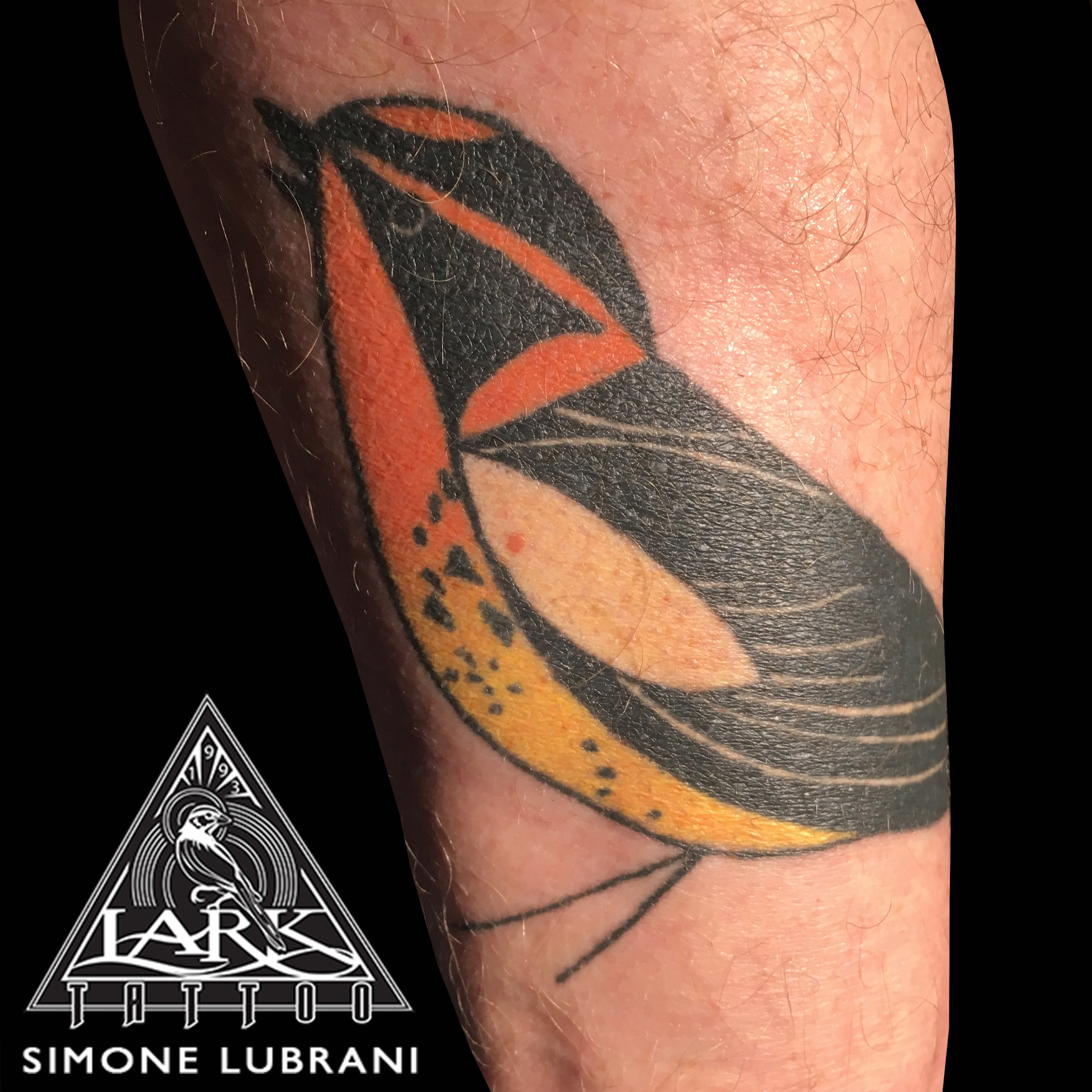 #colortattoo #bird #birdtattoo #warbler #warblertattoo #warblerbird #warblerbirdtattoo #tattoo #tattoos #tat #tats #tatts #tatted #tattedup #tattoist #tattooed #inked #inkedup #ink #tattoooftheday #amazingink #bodyart #tattooig #tattoosofinstagram #instatats #larktattoo #larktattoos #larktattoowestbury #westbury #longisland #NY #NewYork #usa #art