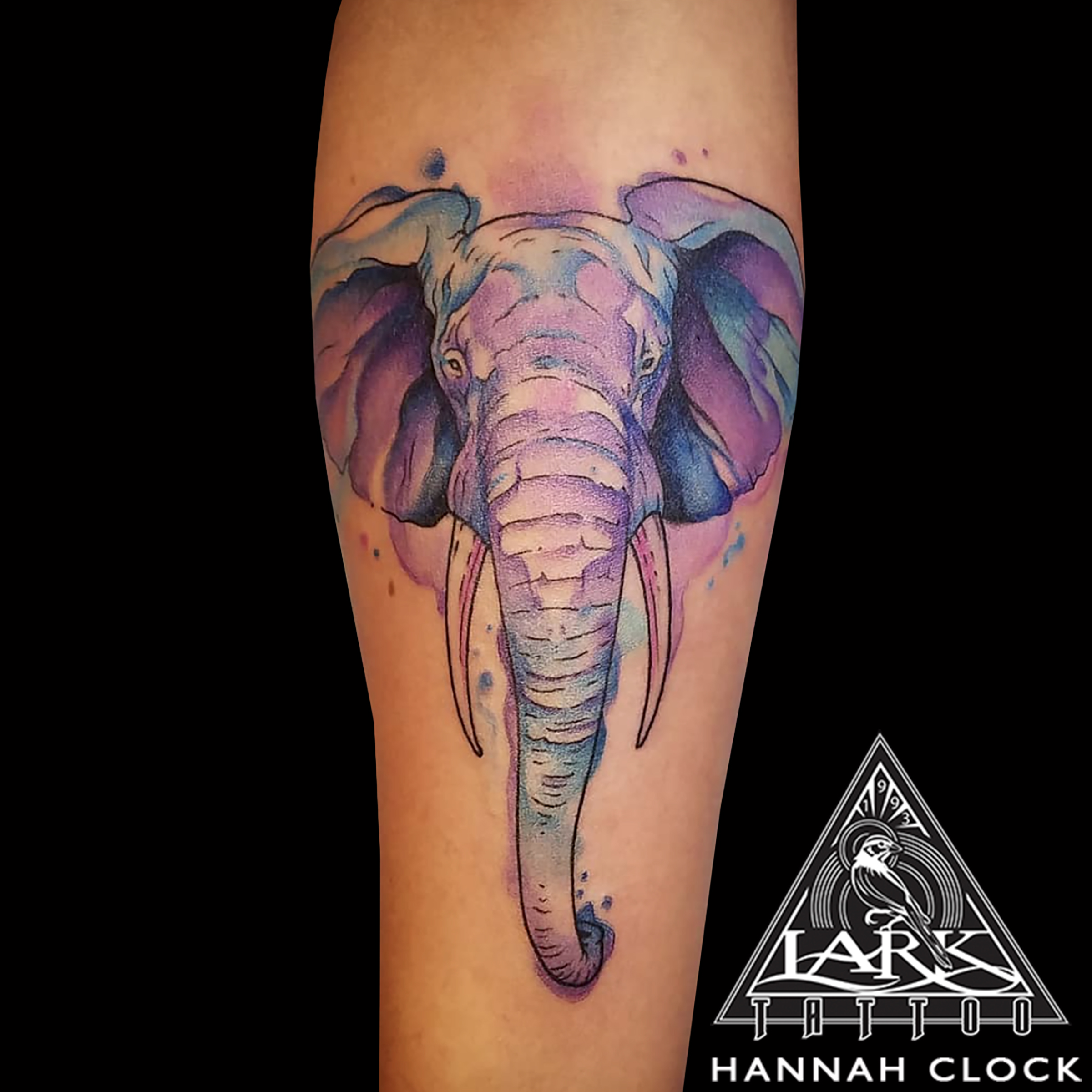 elephant, elephanttattoo, colortattoo, watercolor, watercolortattoo, watercolorelephant, watercolorelephanttattoo, watercoloranimal, watercoloranimaltattoo, femaletattooer, femaletattooartist, ladytattooer, tattoo, tattoos, tat, tats, tatts, tatted, tattedup, tattoist, tattooed, inked, inkedup, ink, tattoooftheday, amazingink, bodyart, tattooig, tattoosofinstagram, instatats , larktattoo, larktattoos, larktattoowestbury, westbury, longisland, NY, NewYork, usa, art, hannah, hannahclock, clock, hannahclocktattoo