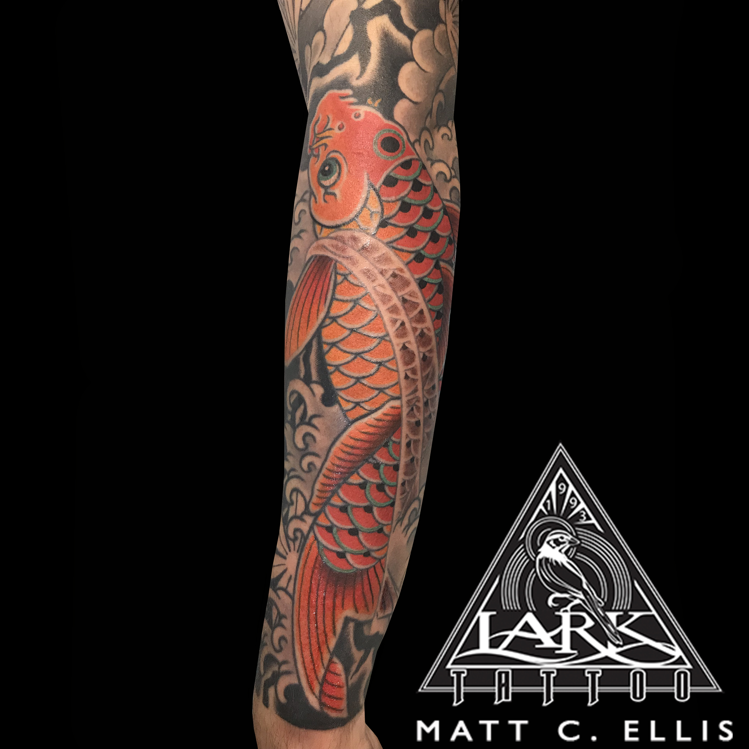 #colortattoo #Japanese #Japanesetattoo #koi #koitattoo #tattoosleeve #tattoo #tattoos #tat #tats #tatts #tatted #tattedup #tattoist #tattooed #inked #inkedup #ink #tattoooftheday #amazingink #bodyart #tattooig #tattoosofinstagram #instatats #larktattoo #larktattoos #larktattoowestbury #westbury #longisland #NY #NewYork #usa #art #matt #ellis #mattellis #mattcellis