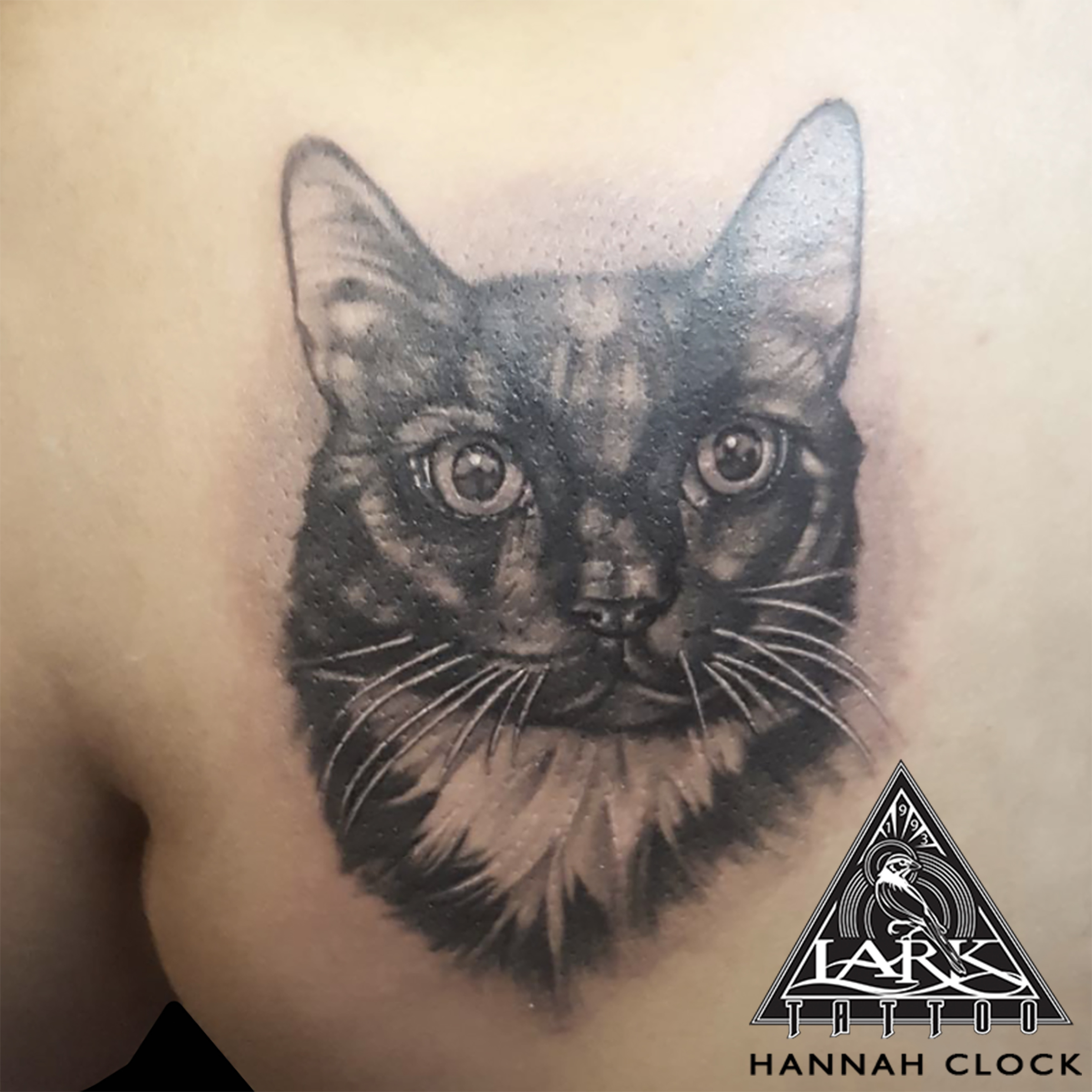 #cat #CatTattoo #Cattoo #blackandgreytattoo #blackandgraytattoo #pettattoo #animaltattoo #tattoo #tattoos #tat #tats #tatts #tatted #tattedup #tattoist #tattooed #inked #inkedup #ink #tattoooftheday #amazingink #bodyart #tattooig #tattoosofinstagram #instatats #larktattoo #larktattoos #larktattoowestbury #westbury #longisland #NY #NewYork #usa #art