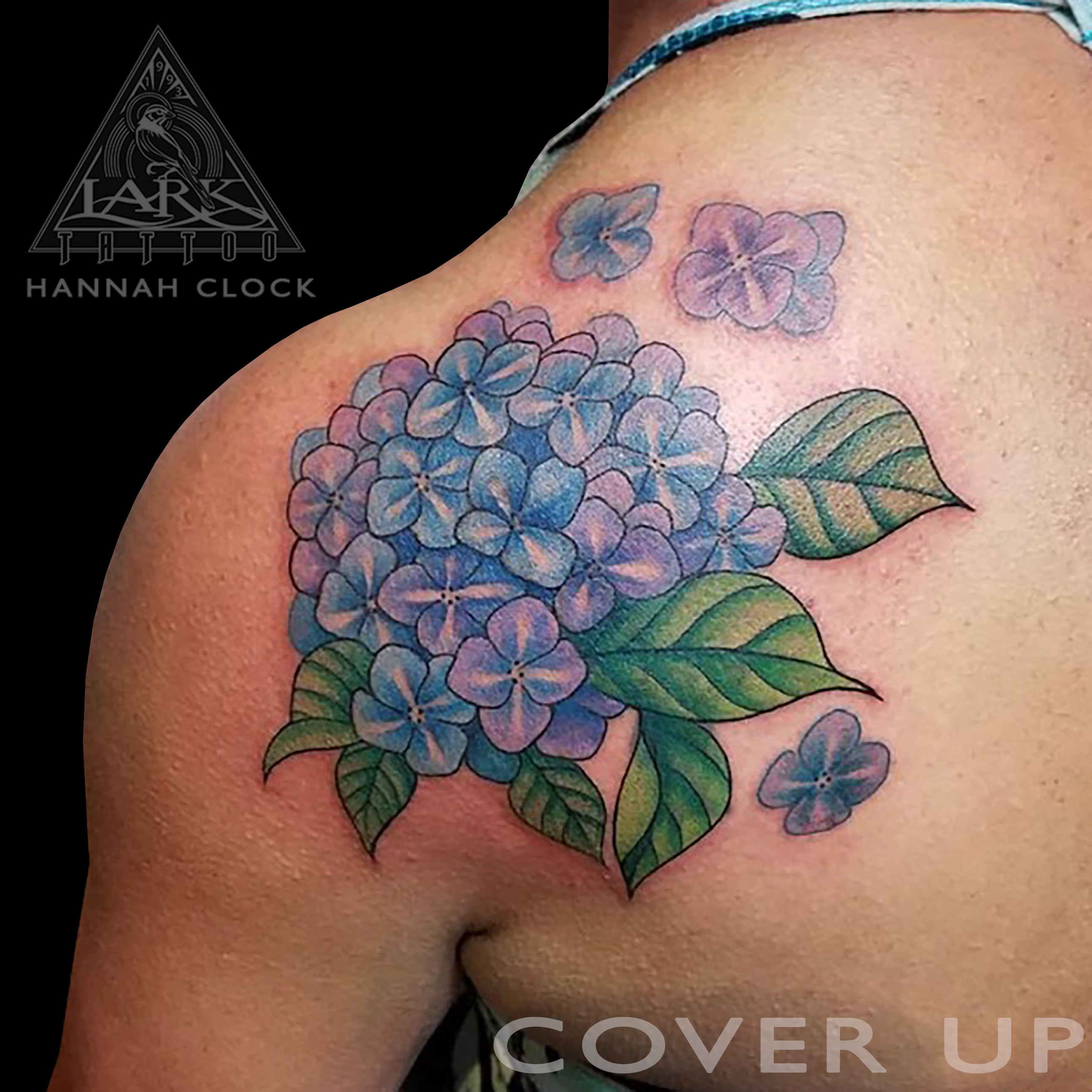 #hydrangea #hydrangeatattoo #coverup #coveruptattoo #flower #flowertattoo #colortattoo #ladytattooer #femaleartist #femaletattooer #femaletattooartist #tattoo #tattoos #tat #tats #tatts #tatted #tattedup #tattoist #tattooed #inked #inkedup #ink #tattoooftheday #amazingink #bodyart #tattooig #tattoosofinstagram #instatats #larktattoo #larktattoos #larktattoowestbury #westbury #longisland #NY #NewYork #usa #art