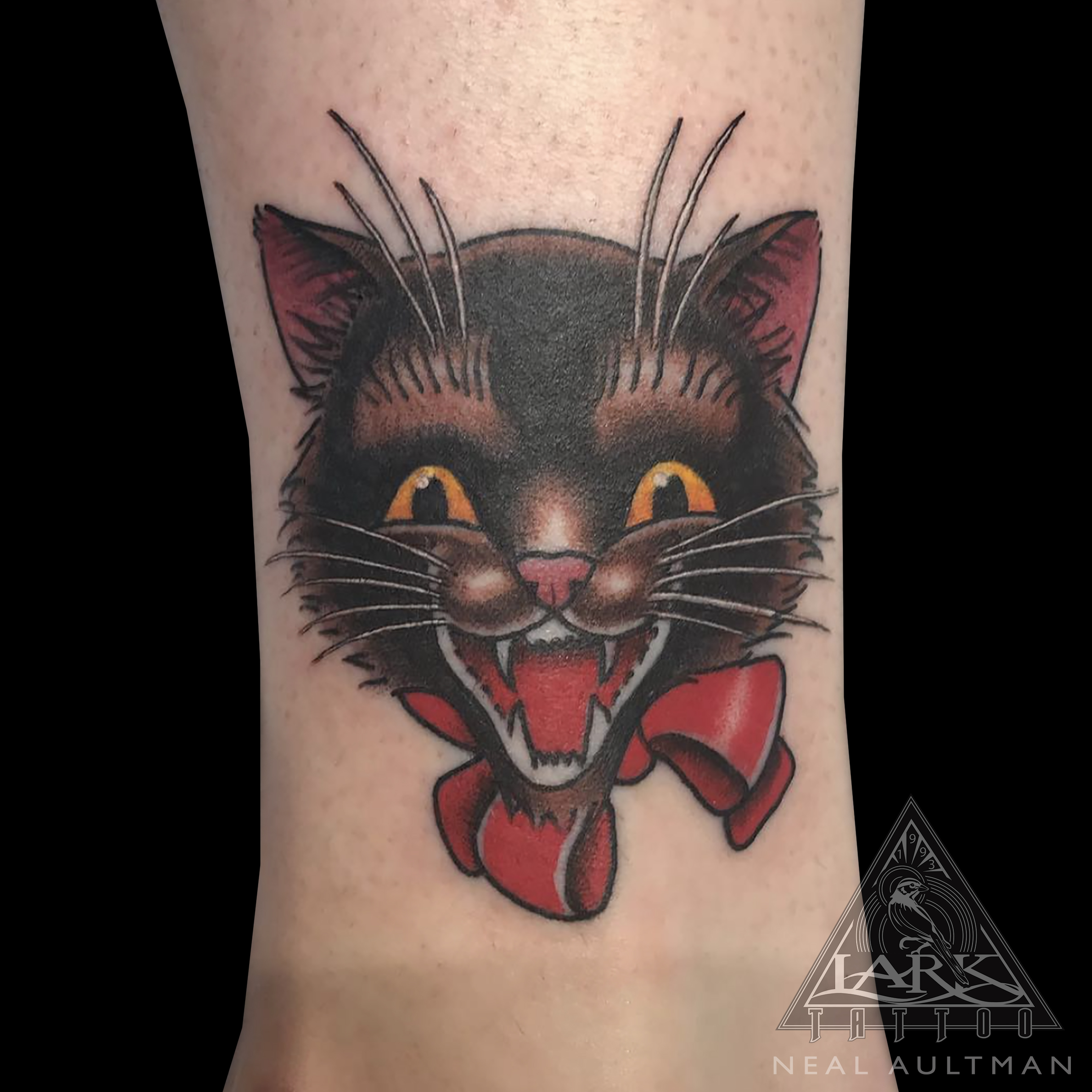 cat, cattattoo, blackcat, blackcattattoo, kitty, kittytattoo, colortattoo, halloween, halloweentattoo, halloweencat, halloweencattattoo, tattoo, tattoos, tat, tats, tatts, tatted, tattedup, tattoist, tattooed, inked, inkedup, ink, tattoooftheday, amazingink, bodyart, tattooig, tattoosofinstagram, instatats , larktattoo, larktattoos, larktattoowestbury, westbury, longisland, NY, NewYork, usa, art