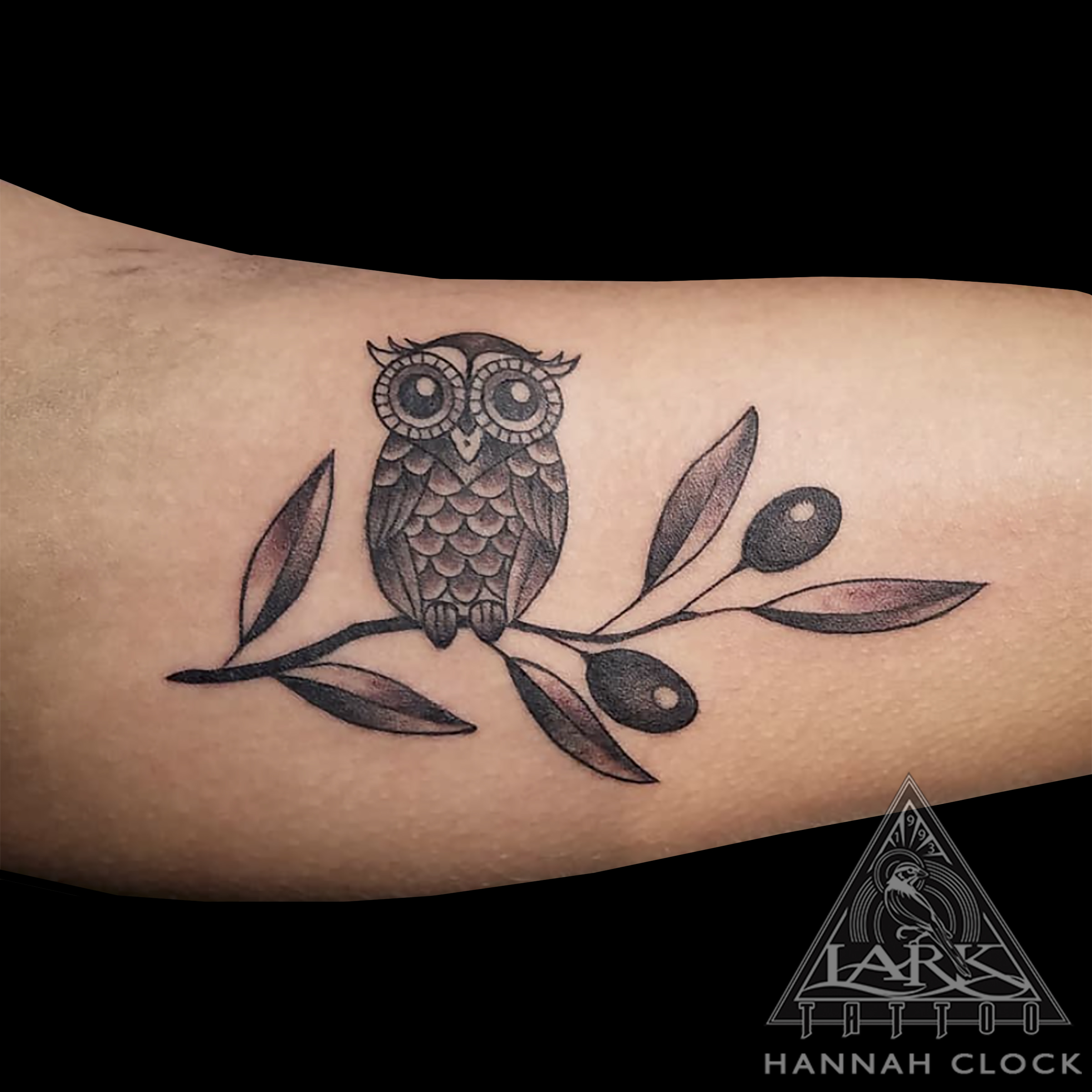 #owl #owltattoo #bng #bngtattoo #blackandgreytattoo #blackandgraytattoo #olive #olivetattoo #olivebranch #olivebranchtattoo #femaletattooartist #femaletattooer #femalartist #tattoo #tattoos #tat #tats #tatts #tatted #tattedup #tattoist #tattooed #inked #inkedup #ink #tattoooftheday #amazingink #bodyart #larktattoo #larktattoos #larktattoowestbury #westbury #longisland #NY #NewYork #usa #art #tattooig #instatats