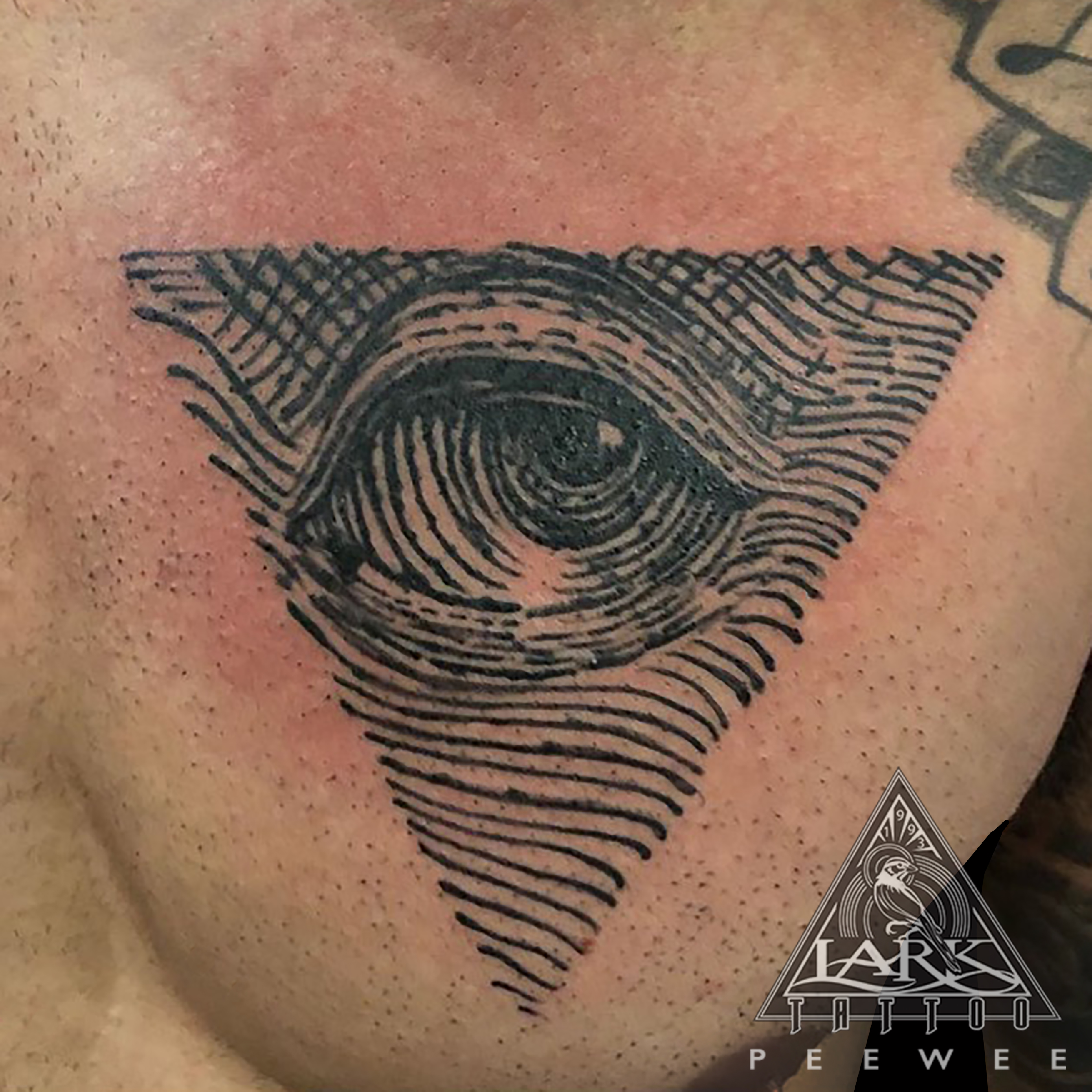 #eye #eyetattoo #graphictattoo #blackwork #blackworktattoo #chesttattoo #linework #lineworktattoo #bookplate #bookplatetattoo #triangle #triangletattoo #peewee #peeweetats #tattoo #tattoos #tat #tats #tatts #tatted #tattedup #tattoist #tattooed #inked #inkedup #ink #tattoooftheday #amazingink #bodyart #larktattoo #larktattoos #larktattoowestbury #westbury #longisland #NY #NewYork #usa #art