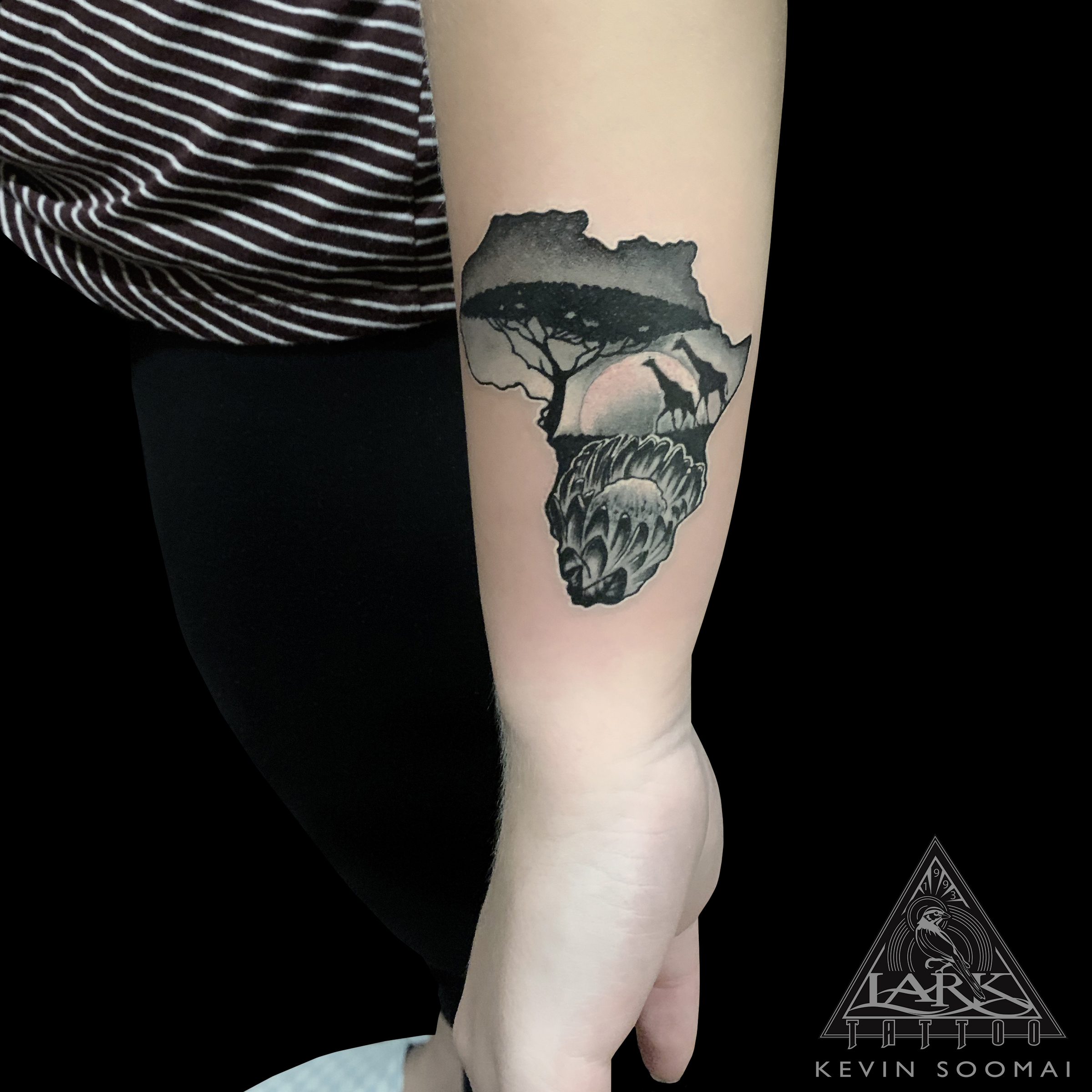 LarkTattoo, BNG, BNGTattoo, BlackAndGray, BlackAndGrayTattoo, BlackAndGrey, BlackAndGreyTattoo, BNGInkSociety, Africa, AfricaTattoo, Nature, NatureTattoo, Safari, SafariTattoo, Giraffe , GiraffeTattoo, TreeTattoo, FlowerTattoo, Tattoo, Tattoos , TattooArtist, Tattoist, Tattooer, LongIslandTattooArtist, LongIslandTattooer, LongIslandTattoo, TattooOfTheDay, Tat, Tats, Tatts, Tatted, Inked, Ink, TattooInk, AmazingInk, AmazingTattoo, BodyArt, LarkTattooWestbury, Westbury, LongIsland, NY, NewYork, USA, Art, Tattedup, InkedUp, LarkTattoos