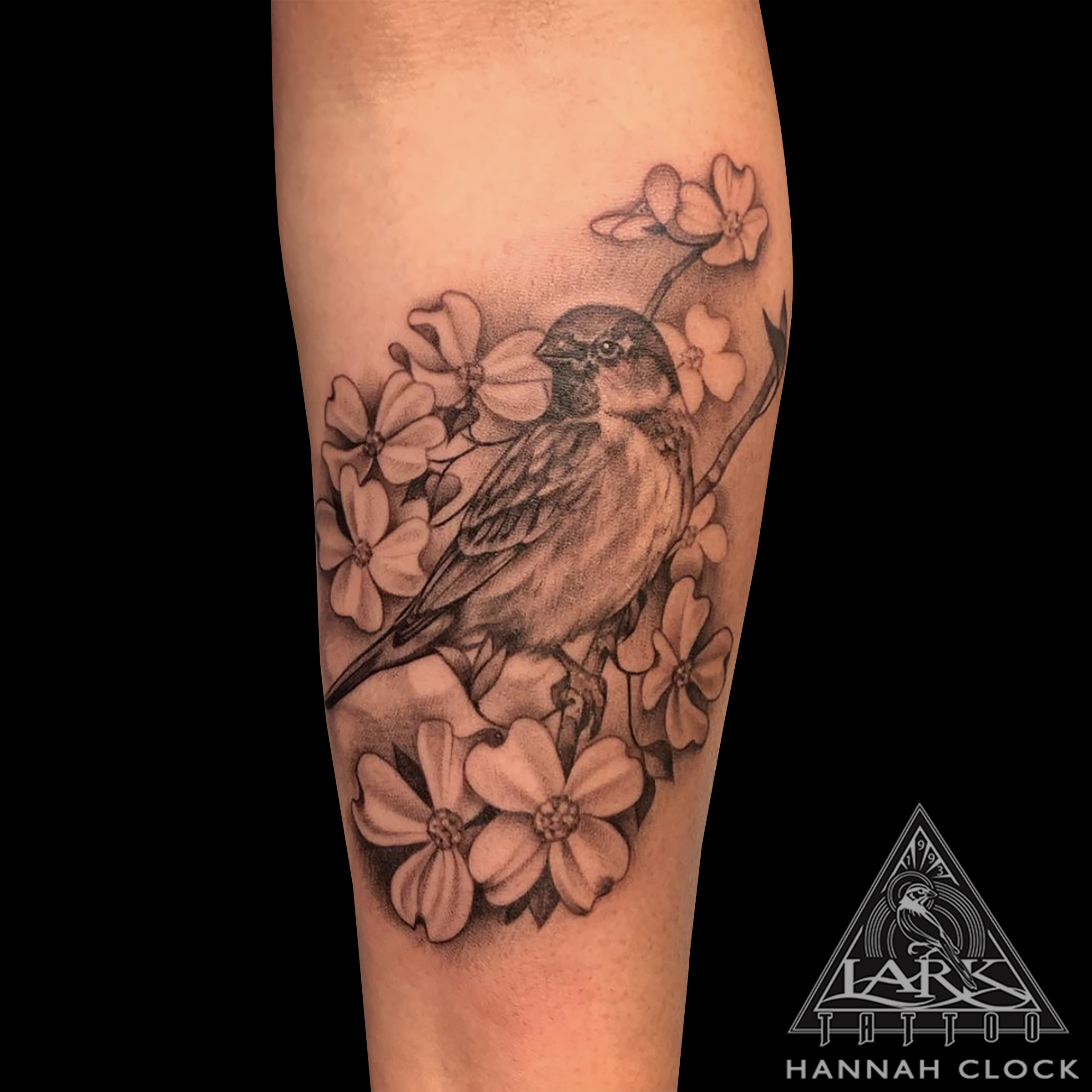 Birdie, BirdieTattoo, Sparrow, SparrowTattoo, FemaleTattooer, FemaleArtist, FemaleTattooArtist, LadyTattooer, Dogwood, DogwoodTattoo, BNG, BNGTattoo, BlackAndGrey, BlackAndGreyTattoo, BlackAndGray, BlackAndGrayTattoo, Flower, FlowerTattoo, Forearm, ForearmTattoo, Floral, FloralTattoo, Bird, BirdTattoo, Nature, NatureTattoo, Animal, AnimalTattoo, FeminineTattoo, LarkTattoo, Tattoo, Tattoos , TattooArtist, Tattoist, Tattooer, LongIslandTattooArtist, LongIslandTattooer, LongIslandTattoo, TattooOfTheDay, Tat, Tats, Tatts, Tatted, Inked, Ink, TattooInk, AmazingInk, AmazingTattoo, BodyArt, LarkTattooWestbury, Westbury, LongIsland, NY, NewYork, USA, Art, Tattedup, InkedUp, LarkTattoos