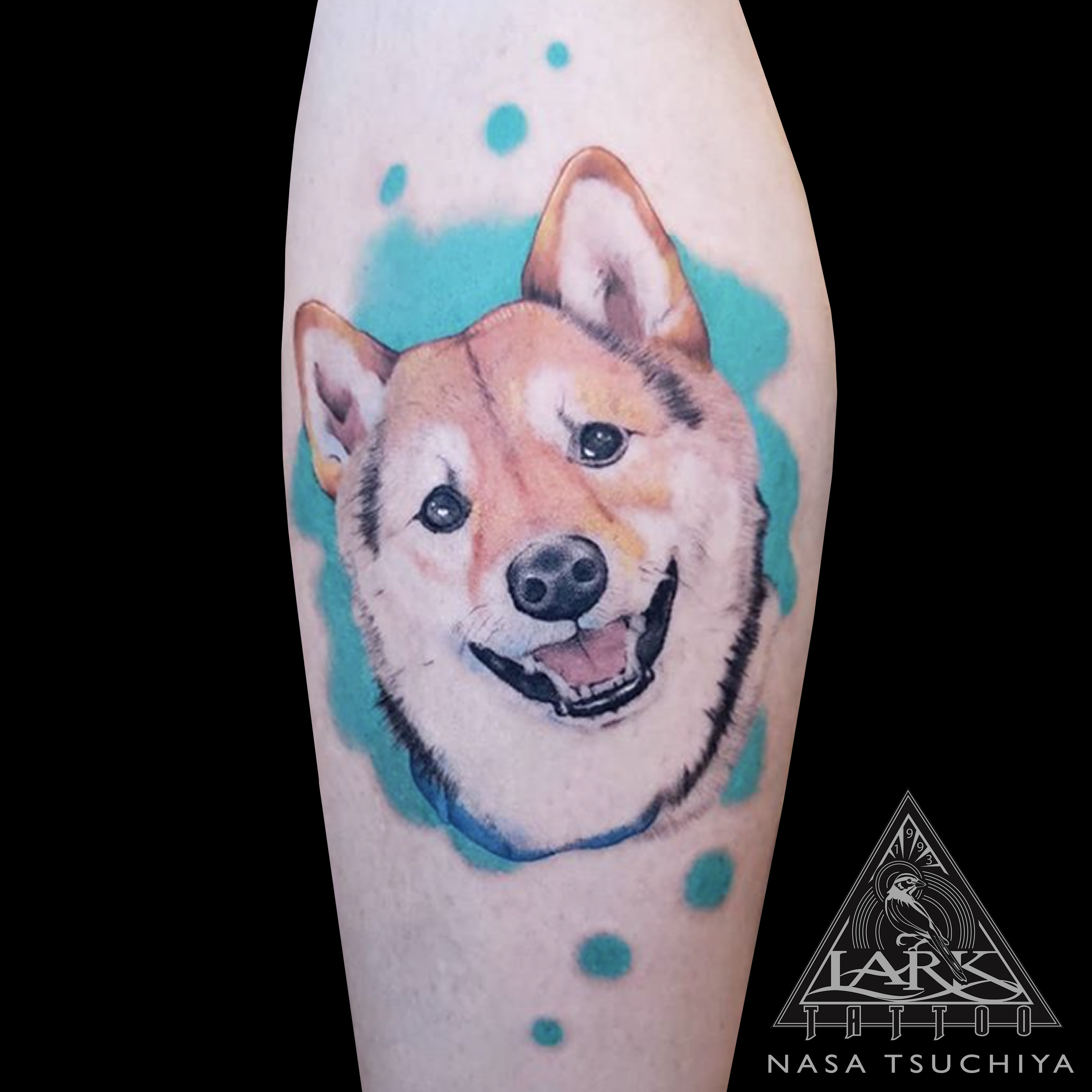 LarkTattoo, Tattoo, Tattoos , Shibainu, ShibainuTattoo, FemaleTattooer, FemaleArtist, FemaleTattooArtist, LadyTattoer, CuteTattoo, ColorTattoo, TattooArtist, Tattoist, Tattooer, LongIslandTattooArtist, LongIslandTattooer, LongIslandTattoo, Dog, Petstagram, DogPortrait, DogPortraitTattoo, DogTattoo, Pet, PetTattoo, Animal, AnimalTattoo, PetPortrait, PetPortraitTattoo, Portrait, PortraitTattoo, AnimalLover, AnimalLoverTattoo, AnimalLovers, AnimalLoversTattoo, DogLover, DogLoverTattoo, DogLovers, DogLoversTattoo, Realism, RealismTattoo, Realistic, RealisticTattoo, TattooOfTheDay, Tat, Tats, Tatts, Tatted, Inked, Ink, TattooInk, AmazingInk, AmazingTattoo, BodyArt, LarkTattooWestbury, Westbury, LongIsland, NY, NewYork, USA, Art, Tattedup, InkedUp, LarkTattoos