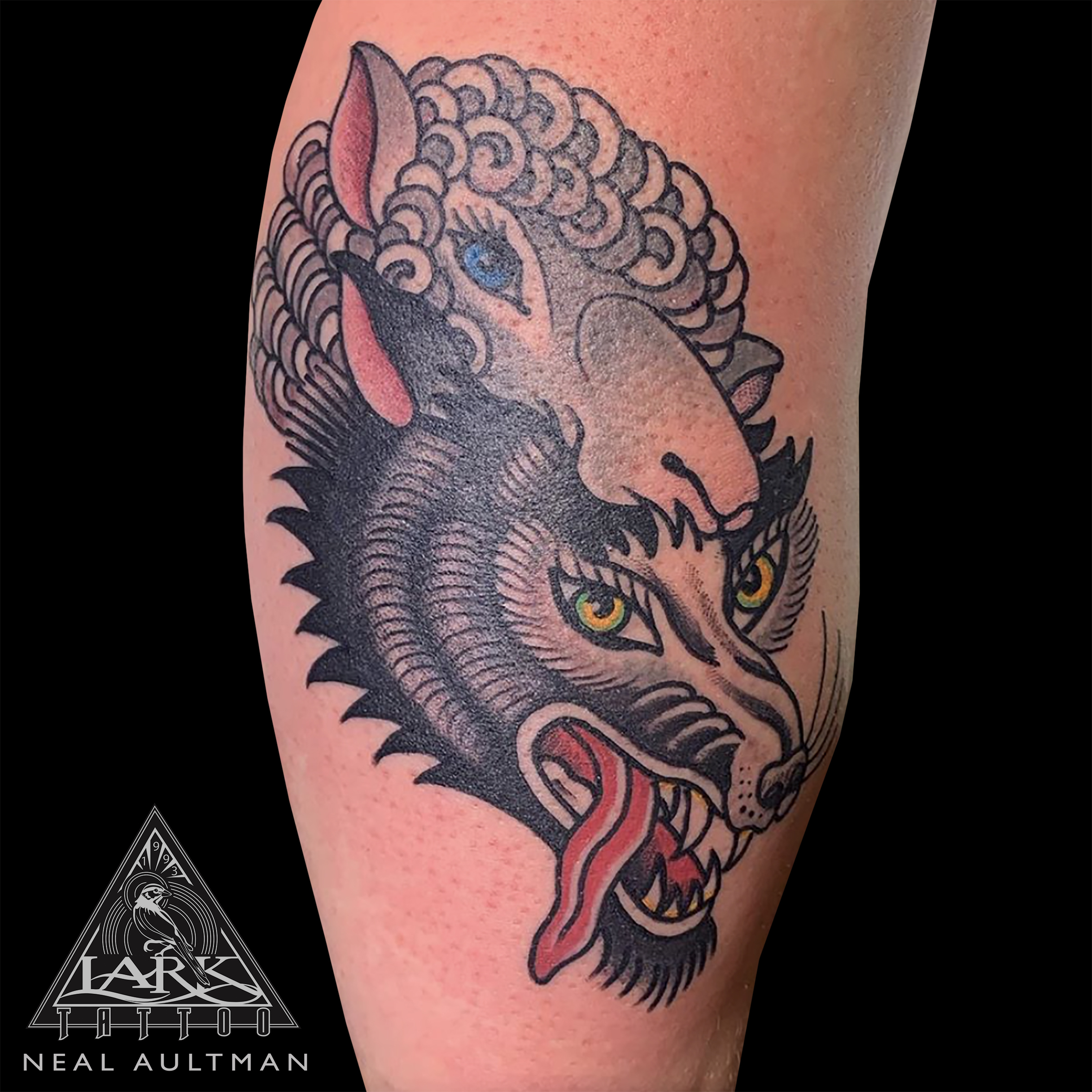 LarkTattoo, Tattoo, Tattoos, ColorTattoo, Traditional, TraditionalTattoo, ColorTraditional, TraditionalTattooer, TraditionalTattooers, TraditionalTattooArtist, TraditionalTattooArtists, ColorTraditionalTattoo, Animal, AnimalTattoo, Wolf, WolfTattoo, WolfInSheepsClothing, WolfInSheepsClothingTattoo, BreakfastClubTattoo, BreakfastClubTattooBook, BreakfastClubTraditiionalTattoo, BreakfastClubTraditiionalTattoos, TattooArtist, Tattoist, Tattooer, LongIslandTattooArtist, LongIslandTattooer, LongIslandTattoo, TattooOfTheDay, Tat, Tats, Tatts, Tatted, Inked, Ink, TattooInk, AmazingInk, AmazingTattoo, BodyArt, LarkTattooWestbury, Westbury, LongIsland, NY, NewYork, USA, Art, Tattedup, InkedUp, LarkTattoos