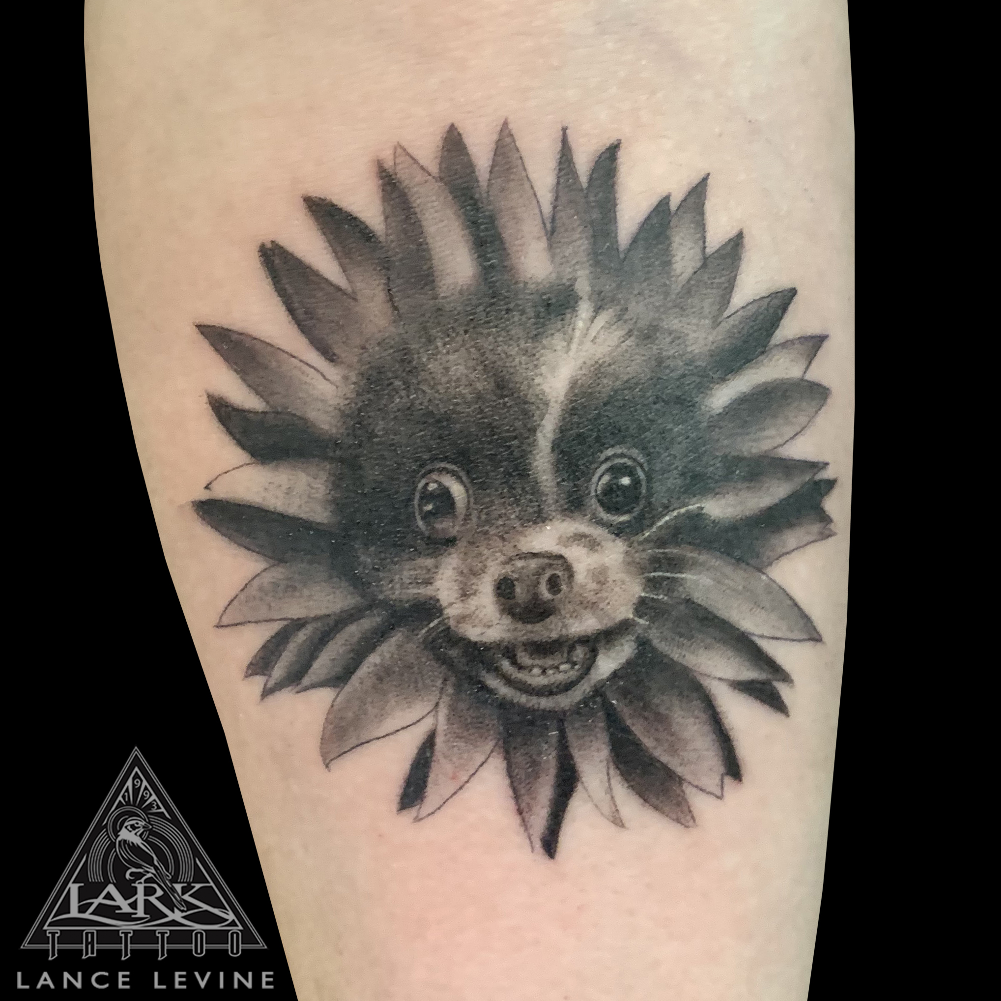 LarkTattoo, Tattoo, Tattoos, LongIslandTattooArtist, Tattooer, LongIslandTattooer, LongIslandTattoo , TattooArtist, Tattoist, BNG, BNGTattoo, BlackAndGrey, BlackAndGreyTattoo, BlackAndGray, BlackAndGrayTattoo, Pet, PetTattoo, Dog, DogTattoo, PeTattoo, Tribute, TributeTattoo, Memorial, MemorialTattoo, FurBaby, FurBabyTattoo, Flower, FlowerTattoo, Cute, CuteTattoo, PetPortrait, PetPortraitTattoo, Realism, RealismTattoo, Realistic, RealisticTattoo, TattooOfTheDay, Tat, Tats, Tatts, Tatted, Inked, Ink, TattooInk, AmazingInk, AmazingTattoo, BodyArt, LarkTattooWestbury, Westbury, LongIsland, NY, NewYork, USA, Art, Tattedup, InkedUp, LarkTattoos