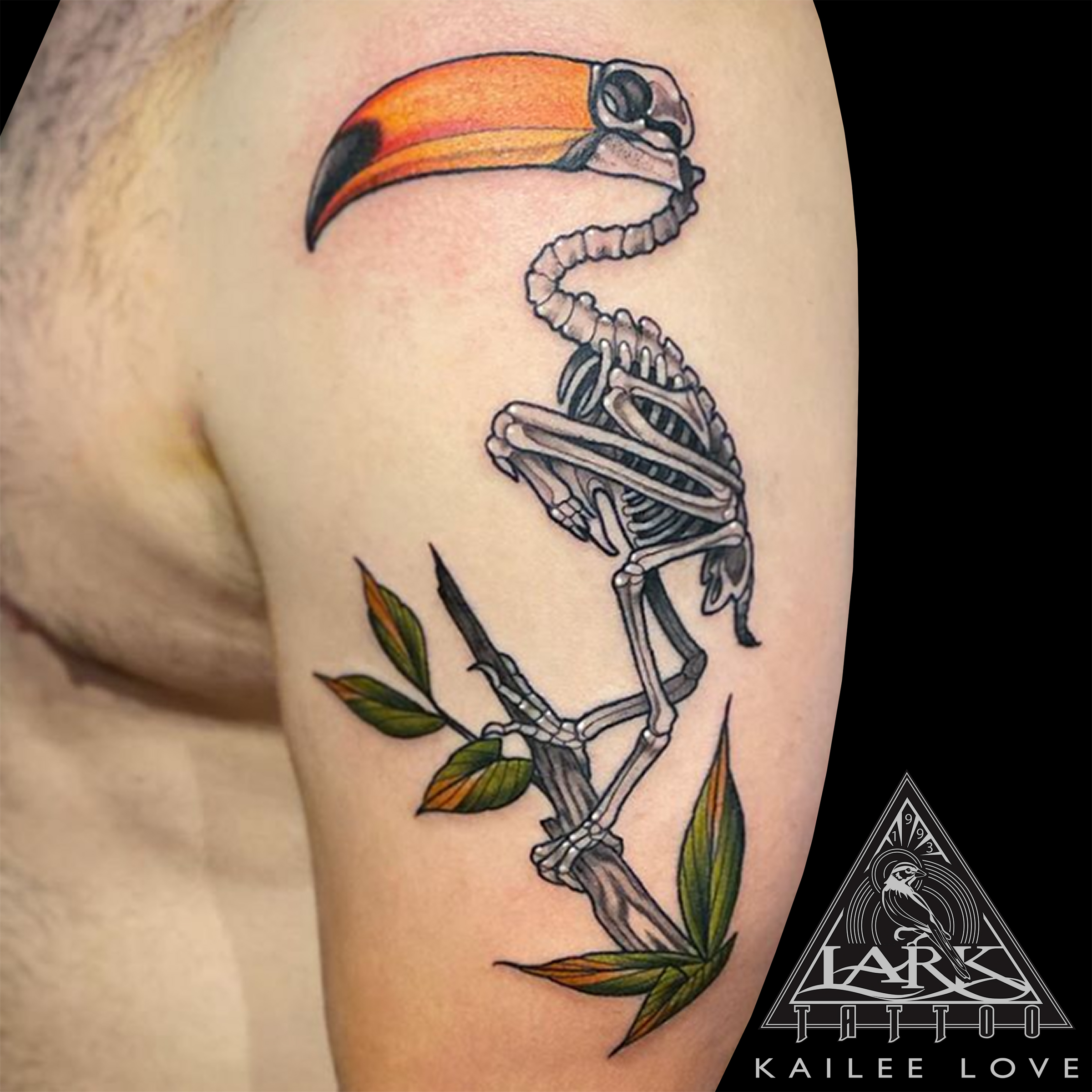 #KaileeLove #KaileeLoveTattoo #KaileeLoveLarkTattoo #Toucan #ToucanTattoo #Bird #BirdTattoo #ToucanBird #ToucanBirdTattoo #ColorTattoo #Animal #AnimalTattoo #Skeleton #SkeletonTattoo #BirdSkeleton #BirdSkeletonTattoo #ToucanSkeleton #ToucanSkeletonTattoo #LadyTattooer #FemaleTattooer #FemaleArtist #LarkTattoo #Tattoo #Tattoos #TattooArtist #Tattoist #Tattooer #LongIslandTattooArtist #LongIslandTattooer #LongIslandTattoo #TattooOfTheDay #Tat #Tats #Tatts #Tatted #Inked #Ink #TattooInk #AmazingInk #AmazingTattoo #BodyArt #LarkTattooWestbury #Westbury #LongIsland #NY #NewYork #USA #Art #Tattedup #InkedUp #LarkTattoos