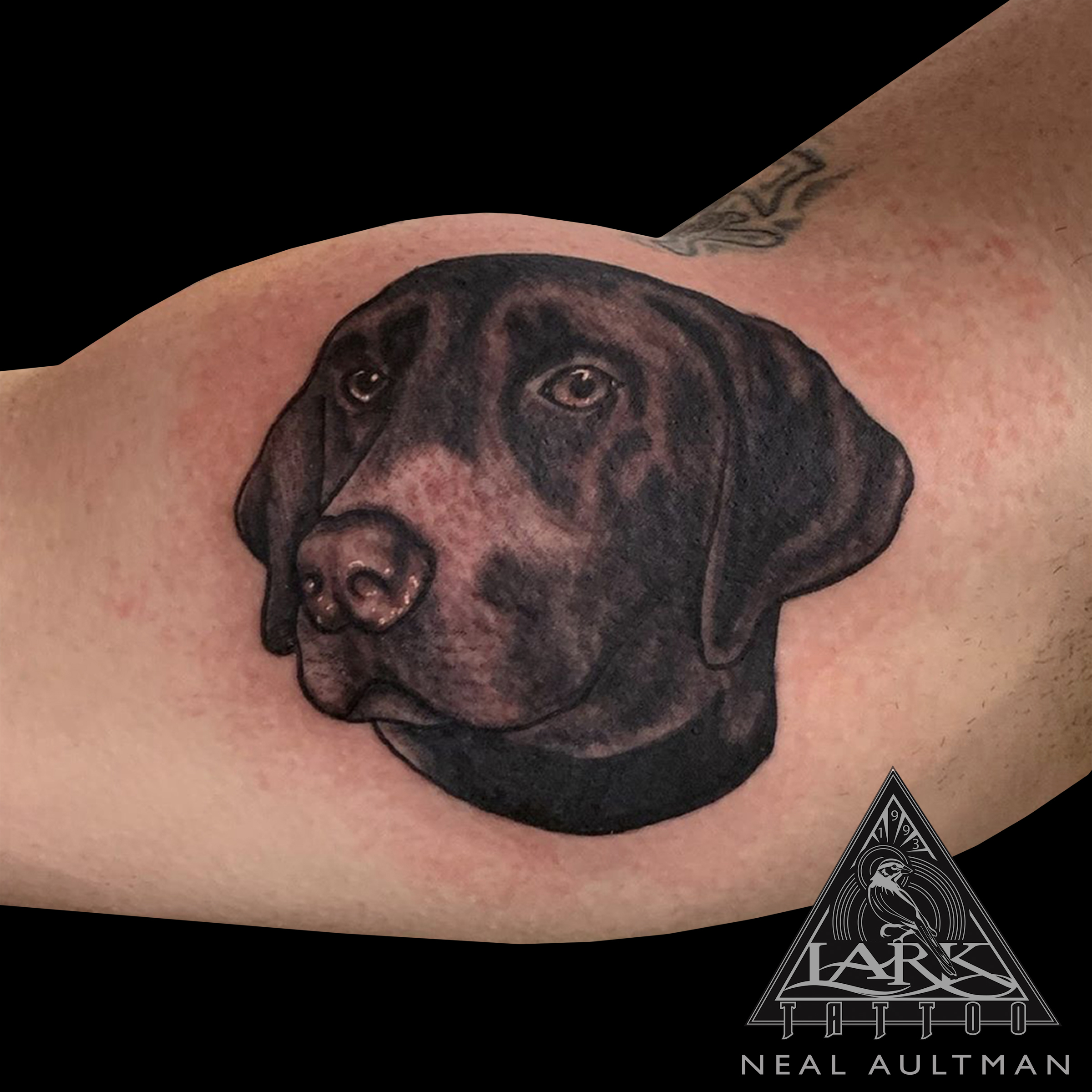 LarkTattoo, Tattoo, Tattoos, BNG, BNGTattoo, Blackwork, BlackworkTattoo, Dog, DogTattoo, Animal, AnimalTattoo, Pet, PetTattoo, LabTattoo, K9, K9Tattoo, BlackAndGray, BlackAndGrayTattoo, BlackAndGrey, BlackAndGreyTattoo, PetPortrait, PetPortraitTattoo, TattooArtist, Tattoist, Tattooer, LongIslandTattooArtist, LongIslandTattooer, LongIslandTattoo, TattooOfTheDay, Tat, Tats, Tatts, Tatted, Inked, Ink, TattooInk, AmazingInk, AmazingTattoo, BodyArt, LarkTattooWestbury, Westbury, LongIsland, NY, NewYork, USA, Art, Tattedup, InkedUp, LarkTattoos