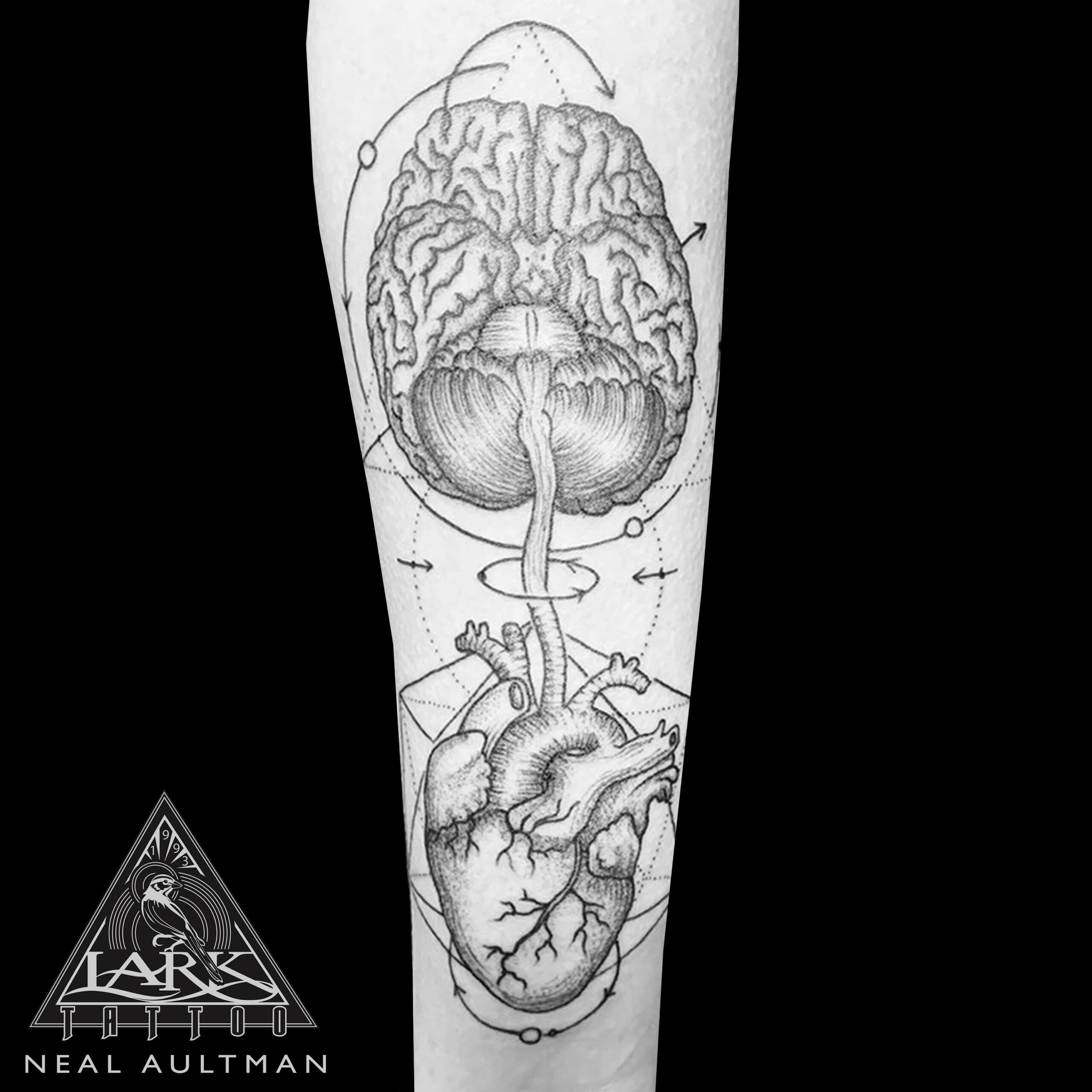 A brain, The Mind, Lost, Tattoo ide... - OpenDream