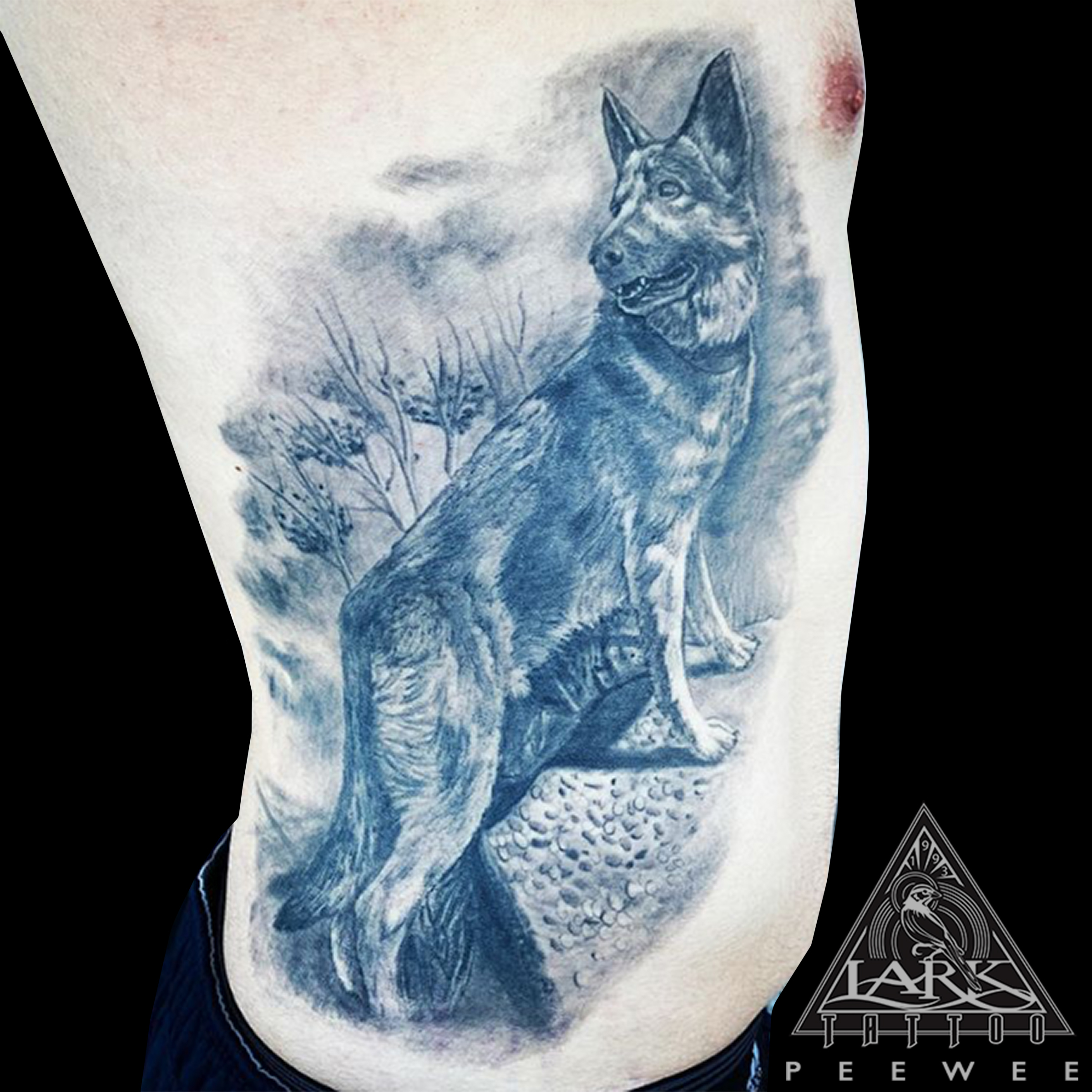 LarkTattoo, PeeWee, PeeWeeTattoo, PeeWeeLarkTattoo, Tattoo, Tattoos, Dog, DogTattoo, BNG, BNGTattoo, BlackAndGray, BlackAndGrayTattoo, BlackAndGrey, BlackAndGreyTattoo, Realism, RealismTattoo, Portrait, PortraitTattoo, AnimalPortrait, AnimalPortraitTattoo, PetPortrait, PetPortraitTattoo, DogPortrait, DogPortraitTattoo, DogsOfInstagram, InstaDog, Dogstagram, Petstagram, DogLover, DogOfTheDay, TattooArtist, Tattoist, Tattooer, LongIslandTattooArtist, LongIslandTattooer, LongIslandTattoo, TattooOfTheDay, Tat, Tats, Tatts, Tatted, Inked, Ink, TattooInk, AmazingInk, AmazingTattoo, BodyArt, LarkTattooWestbury, Westbury, LongIsland, NY, NewYork, USA, Art, Tattedup, InkedUp, LarkTattoos