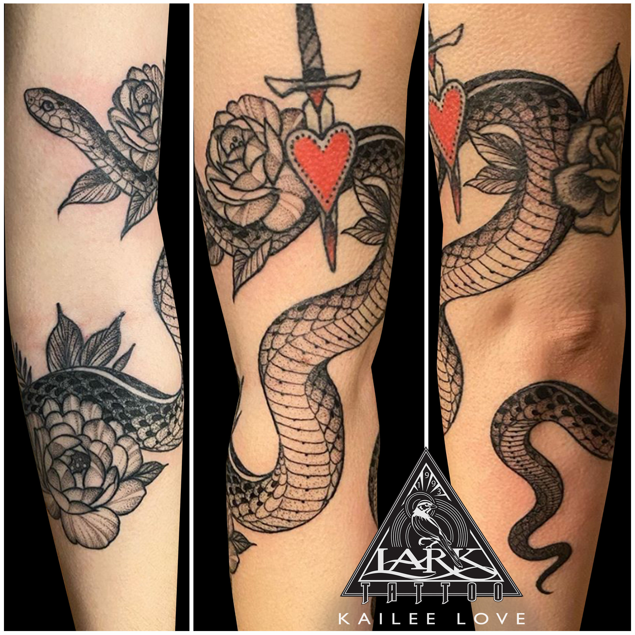 LarkTattoo, KaileeLove, KaileeLoveTattoo, KaileeLoveLarkTattoo, Tattoo, Tattoos, LadyTattooer, FemaleTattooer, FemaleArtist, FemaleTattooArtist, BNG, BNGTattoo, BlackAndGray, BlackAndGrayTattoo, BlackAndGrey, BlackAndGreyTattoo, Snake, SnakeTattoo, Flower, FlowerTattoo, Flowers, FlowersTattoo, ArmTattoo, BlackWorkTattoo, BNGInkSociety, TattooArtist, Tattoist, Tattooer, LongIslandTattooArtist, LongIslandTattooer, LongIslandTattoo, TattooOfTheDay, Tat, Tats, Tatts, Tatted, Inked, Ink, TattooInk, AmazingInk, AmazingTattoo, BodyArt, LarkTattooWestbury, Westbury, LongIsland, NY, NewYork, USA, Art, Tattedup, InkedUp, LarkTattoos