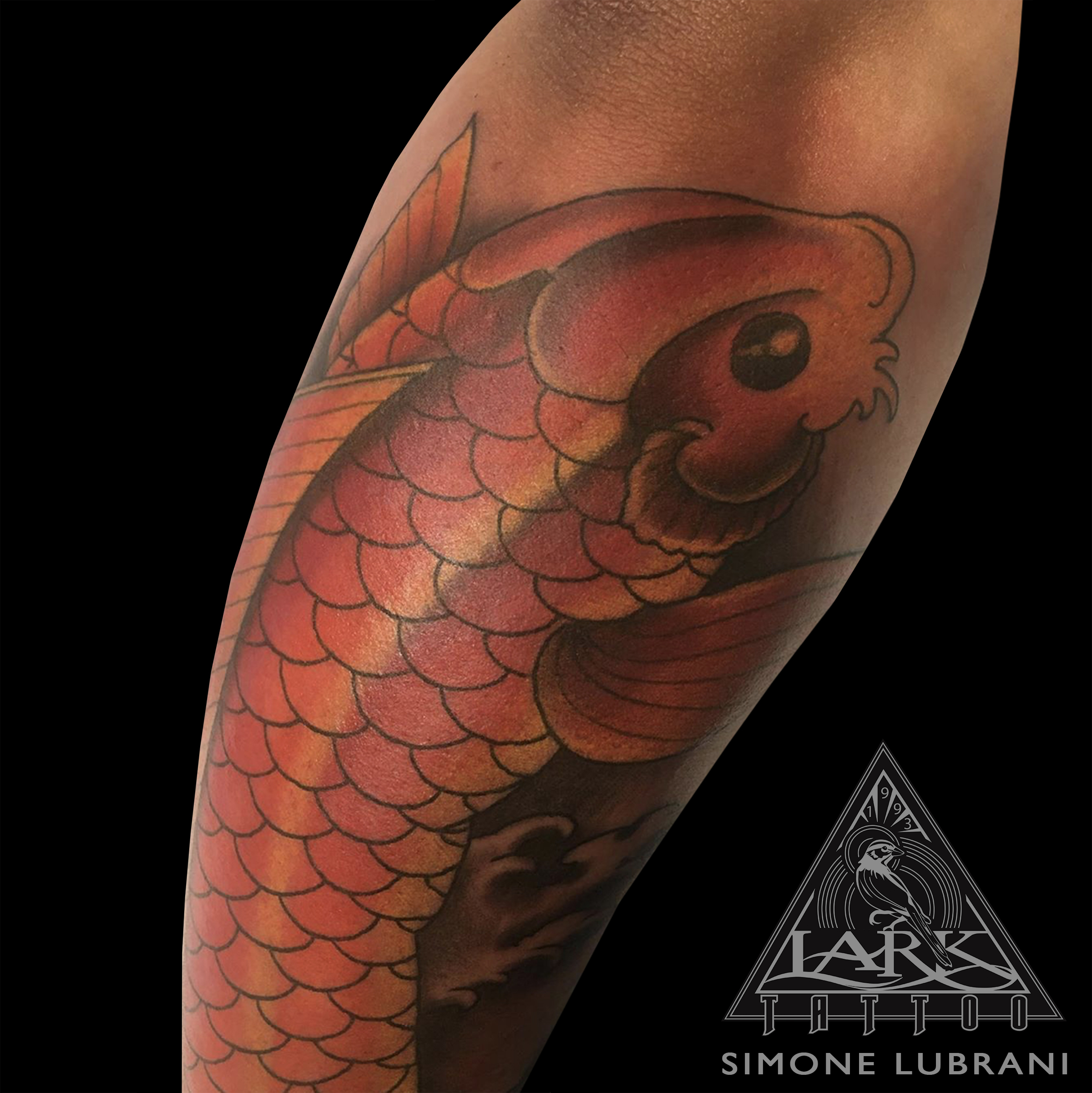 LarkTattoo, Tattoo, SimoneLubrani, SimoneLubraniLarkTattoo, Tattoos, Koi, KoiTattoo, KoiFish, KoiFishTattoo, OrangeKoi, OrangeKoiTattoo, OrangeKoiFish, OrangeKoiFishTattoo, ColorTattoo, Japanese, JapaneseTattoo, JapaneseColorTattoo, TattooArtist, Tattoist, Tattooer, LongIslandTattooArtist, LongIslandTattooer, LongIslandTattoo, TattooOfTheDay, Tat, Tats, Tatts, Tatted, Inked, Ink, TattooInk, AmazingInk, AmazingTattoo, BodyArt, LarkTattooWestbury, Westbury, LongIsland, NY, NewYork, USA, Art, Tattedup, InkedUp, LarkTattoos