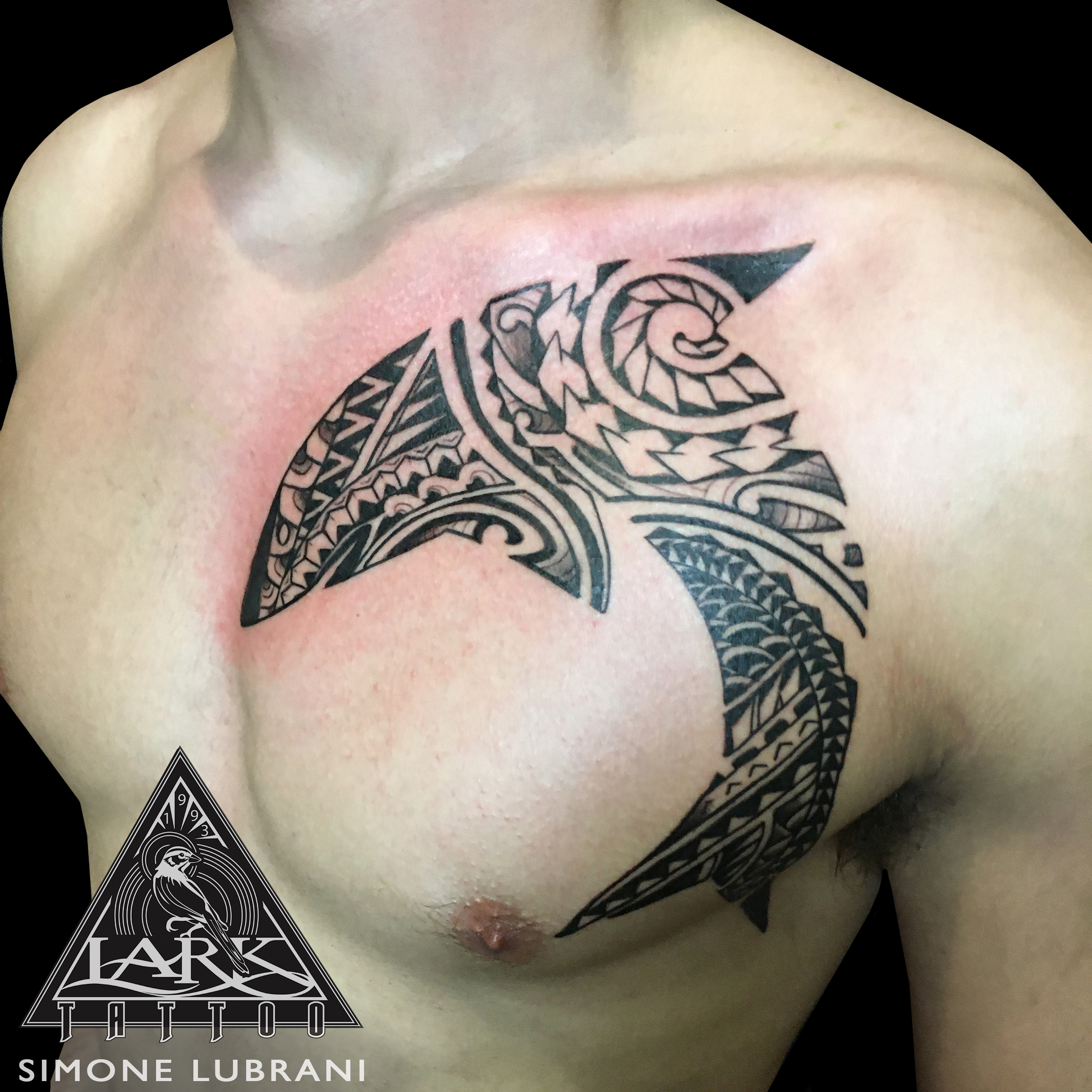 #LarkTattoo #Tattoo #SimoneLubrani #SimoneLubraniLarkTattoo #Polynesian #PolynesianStyleTattoo #PolynesianTattoo #PolynesianTattoos #PolynesianDesigns #Tribal #TribalTattoo #TribalMaori #TribalMaoriTattoo #Maori #MaoriStyleTattoo #MaoriTattoo #MaoriStyle #Shark #SharkTattoo #TribalShark #TribalSharkTattoo #BlackInk #BlackInkTattoo #Chest #ChestTattoo #Tattoos #TattooArtist #Tattoist #Tattooer #LongIslandTattooArtist #LongIslandTattooer #LongIslandTattoo #TattooOfTheDay #Tat #Tats #Tatts #Tatted #Inked #Ink #TattooInk #AmazingInk #AmazingTattoo #BodyArt #LarkTattooWestbury #Westbury #LongIsland #NY #NewYork #USA #Art #Tattedup #InkedUp #LarkTattoos