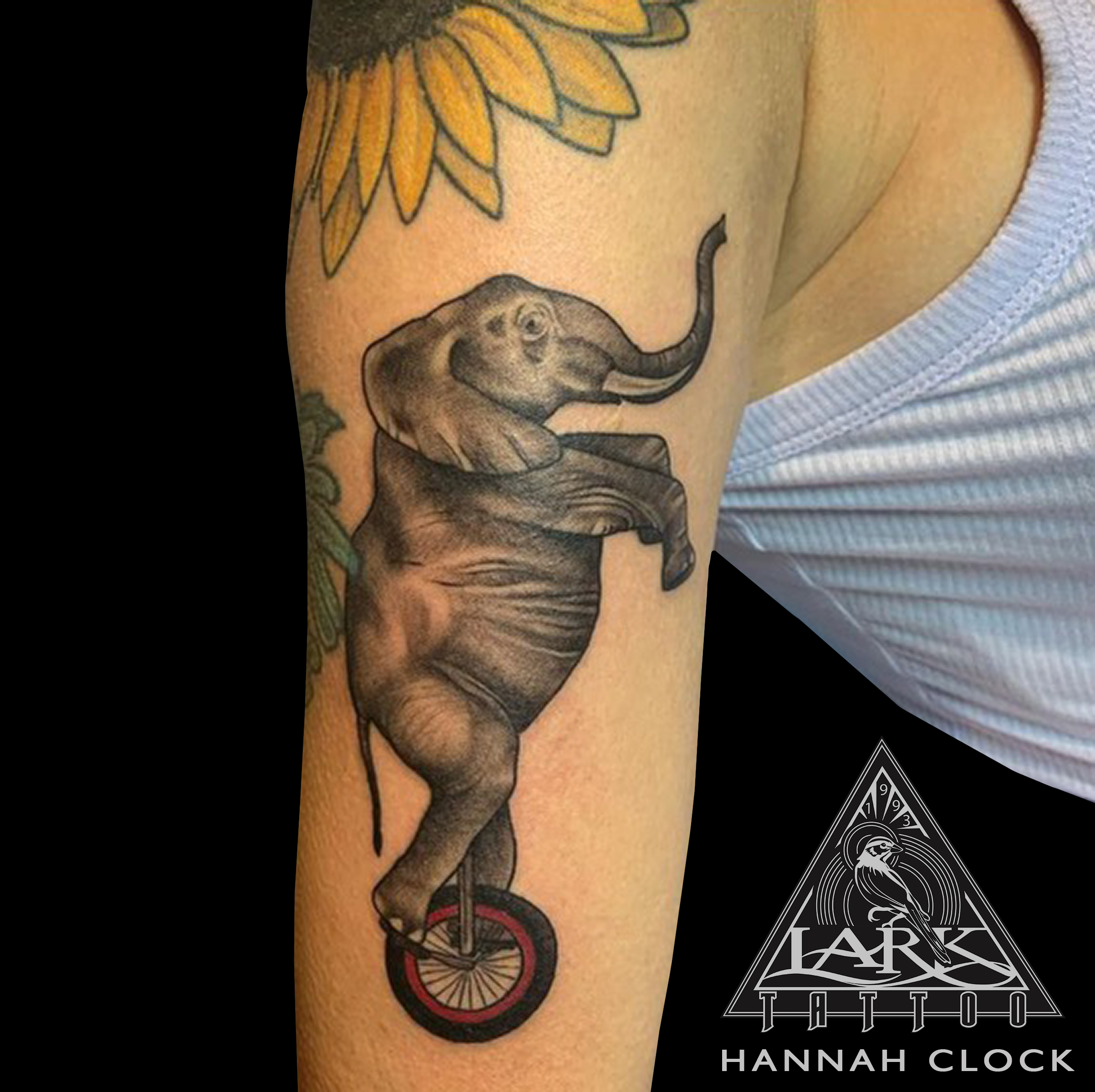 #LarkTattoo #HannahClock #HannahClockLarkTattoo #Elephant #ElephantTattoo #Unicycle #UnicycleTattoo #ElephantRidingAUnicycle #ElephantRidingAUnicycleTattoo #ElephantOnAUnicycle #ElephantOnAUnicycleTattoo #Pachyderm #PachydermTattoo #Animal #AnimalTattoo #Cute #CuteTattoo #Fun #FunTattoo #FemaleTattooer #FemaleArtist #LadyTattooer #Tattoo #Tattoos #TattooArtist #Tattoist #Tattooer #LongIslandTattooArtist #LongIslandTattooer #LongIslandTattoo #TattooOfTheDay #Tat #Tats #Tatts #Tatted #Inked #Ink #TattooInk #AmazingInk #AmazingTattoo #BodyArt #LarkTattooWestbury #Westbury #LongIsland #NY #NewYork #USA #Art #Tattedup #InkedUp #LarkTattoos