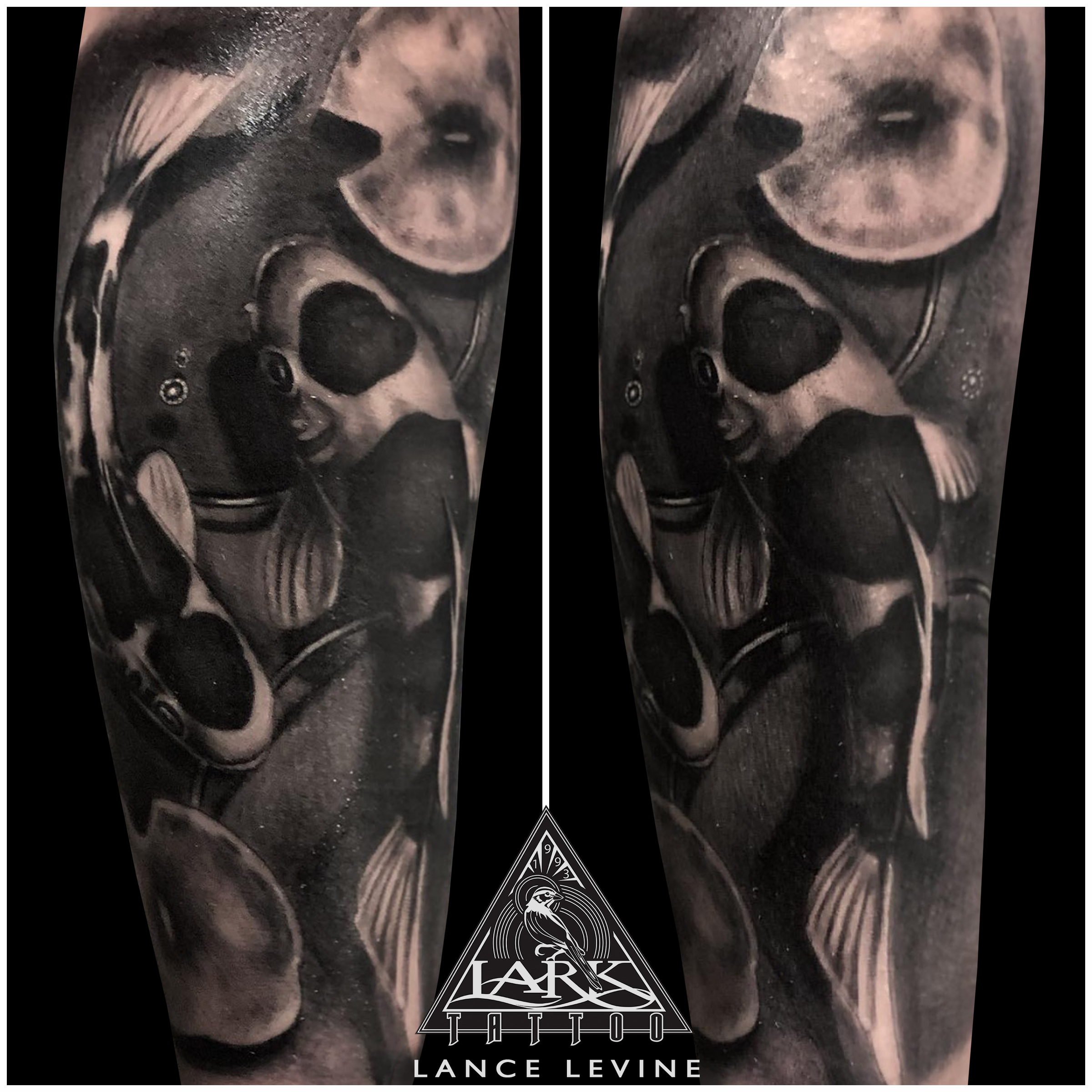 LarkTattoo, Tattoo, Tattoos, LanceLevine, LanceLevineLarkTattoo, Koi, KoiTattoo, KoiFish, KoiFishTattoo, Fish, FishTattoo, Pieces, BishopWand, BishopTattooWand, BishopTattooMachine, BNG, BNGInk, BNGInkSociety, Realism, RealismTattoo, Realistic, RealisticTattoo, BlackAndGray, BlackAndGrayTattoo, BlackAndGrey, BlackAndGreyTattoo, BeautifulTattoo, LongIslandTattooArtist, LongIslandTattooer, LongIslandTattoo, TattooArtist, Tattoist, Tattooer, LongIslandTattooArtist, LongIslandTattooer, LongIslandTattoo, TattooOfTheDay, Tat, Tats, Tatts, Tatted, Inked, Ink, TattooInk, AmazingInk, AmazingTattoo, BodyArt, LarkTattooWestbury, Westbury, LongIsland, NY, NewYork, USA, Art, Tattedup, InkedUp, LarkTattoos