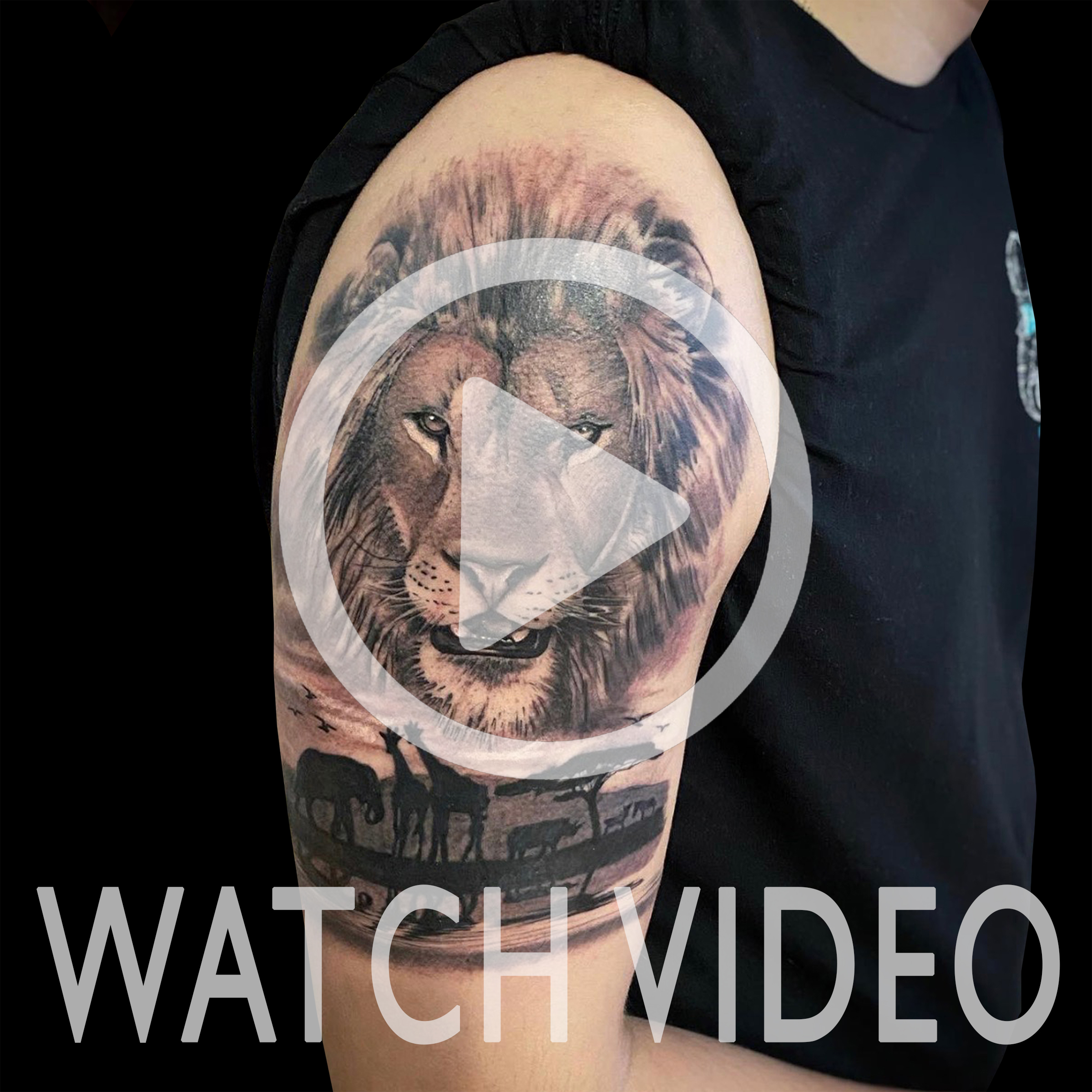 LarkTattoo, KevinSoomai, KevinSoomaiLarkTattoo, Tattoo, Lion, LionTattoo, Giraffe, GiraffeTattoo, Elephant, ElephantTattoo, Rhino, RhinoTattoo, Zebra, ZebraTattoo, Safari, SafariTattoo, Animal, AnimalTattoo, Nature, NatureTattoo, TattooHalfSleeve, HalfSleeve, HalfSleeveTattoo, Realism, RealismTattoo, Realistic, RealisticTattoo, BNG, BNGTattoo, BlackAndGray, BlackAndGrayTattoo, BlackAndGrey, BlackAndGreyTattoo, BlackAndGrayRealism, BlackAndGrayRealismTattoo, BlackAndGreyRealism, BlackAndGreyRealismTattoo, Tattoos , TattooArtist, Tattoist, Tattooer, LongIslandTattooArtist, LongIslandTattooer, LongIslandTattoo, TattooOfTheDay, Tat, Tats, Tatts, Tatted, Inked, Ink, TattooInk, AmazingInk, AmazingTattoo, BodyArt, LarkTattooWestbury, Westbury, LongIsland, NY, NewYork, USA, Art, Tattedup, InkedUp, LarkTattoos