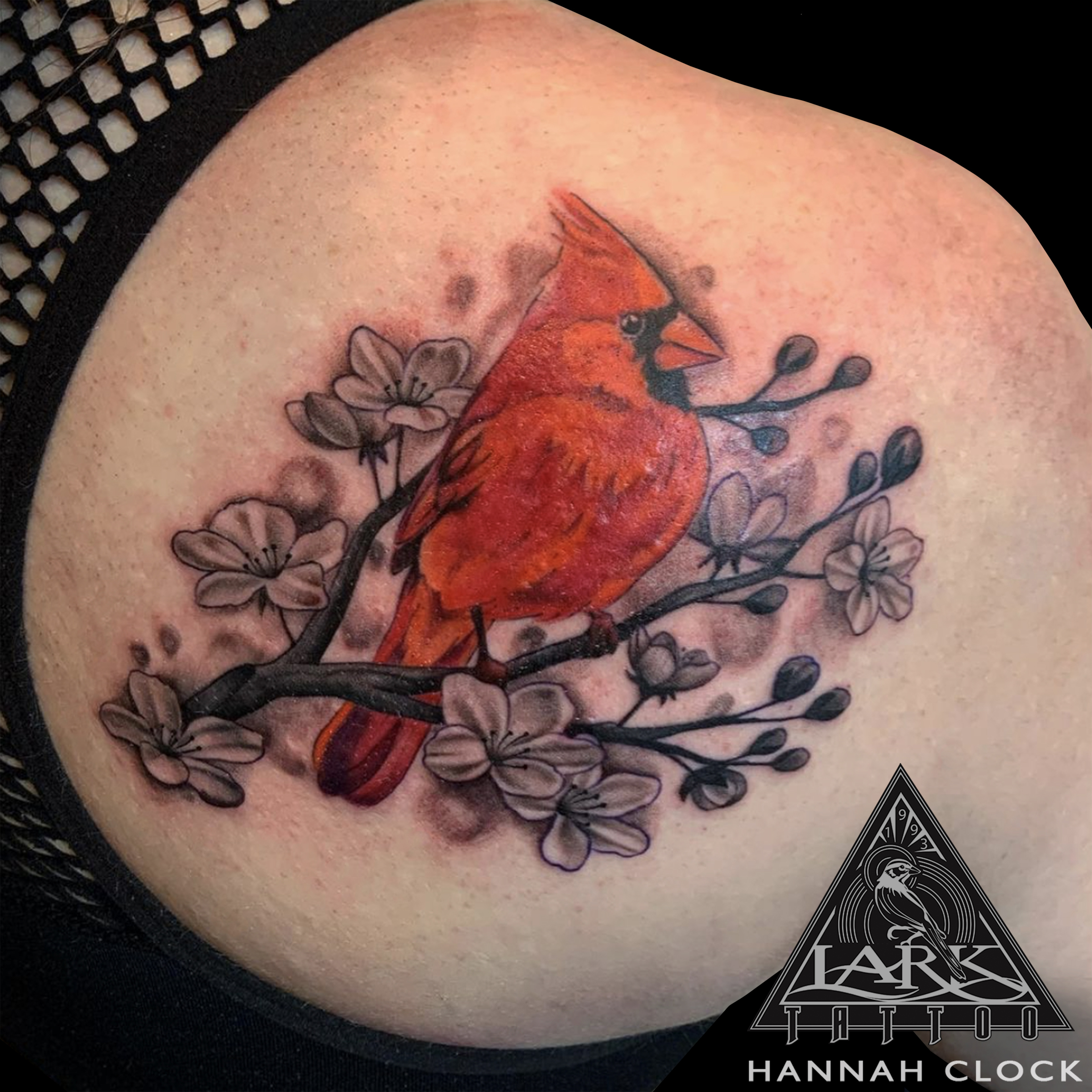 #LarkTattoo #HannahClock #HannahClockLarkTattoo #FemaleTattooer #FemaleArtist #LadyTattooer #Tattoo #Tattoos #Cardinal #CardinalTattoo #Bird #BirdTattoo #ColorTattoo #CherryBlossom #CherryBlossomTattoo #SolidInk #Feminine #FeminineTattoo #BeautifulTattoo #TattooArtist #Tattoist #Tattooer #LongIslandTattooArtist #LongIslandTattooer #LongIslandTattoo #TattooOfTheDay #Tat #Tats #Tatts #Tatted #Inked #Ink #TattooInk #AmazingInk #AmazingTattoo #BodyArt #LarkTattooWestbury #Westbury #LongIsland #NY #NewYork #USA #Art #Tattedup #InkedUp #LarkTattoos