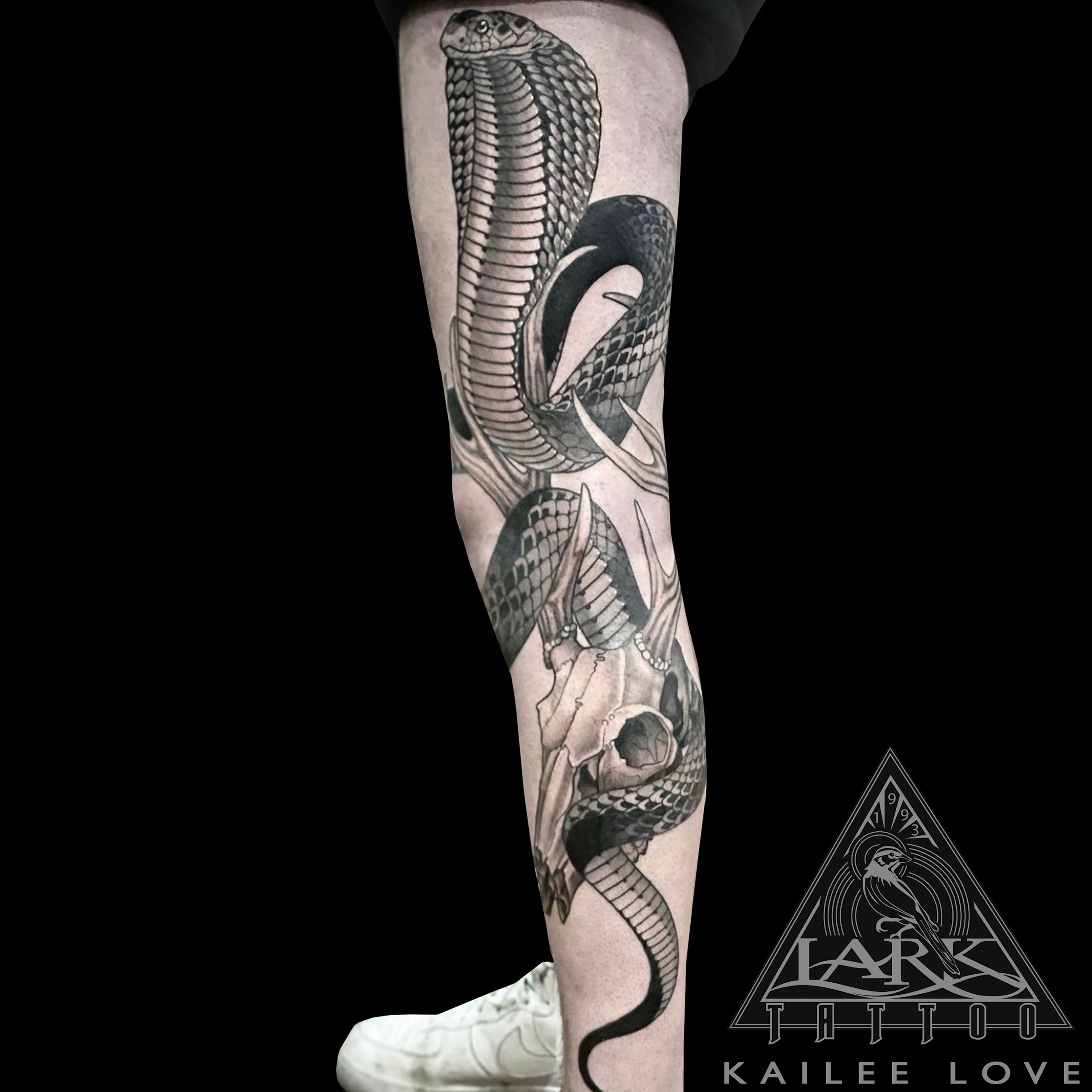 LarkTattoo, KaileeLove, KaileeLoveLarkTattoo, Tattoo, Tattoos, Snake, SnakeTattoo, Skull, SkullTattoo, AnimalSkull, AnimalSkullTattoo, DeerSkull, DeerSkullTattoo, LegTattoo, FullLegTattoo, LargeScaleTattoo, BNG, BNGTattoo, BlackAndGray, BlackAndGrayTattoo, BlackAndGrey, BlackAndGreyTattoo, FemaleArtist, FemaleTattooer, LadyTattooer, TattooArtist, Tattoist, Tattooer, LongIslandTattooArtist, LongIslandTattooer, LongIslandTattoo, TattooOfTheDay, Tat, Tats, Tatts, Tatted, Inked, Ink, TattooInk, AmazingInk, AmazingTattoo, BodyArt, LarkTattooWestbury, Westbury, LongIsland, NY, NewYork, USA, Art, Tattedup, InkedUp, LarkTattoos