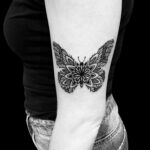 LarkTattoo, NealAultman, NealAultmanLarkTattoo, Tattoo, Tattoos, Butterfly, ButterflyTattoo, Dotwork, DotworkTattoo, ArmTattoo, BNGTattoo, BNGInkSociety, BlackAndGray, BlackAndGrayTattoo, BlackAndGrey, BlackAndGreyTattoo, Mandala, MandalaTattoo, TattooArtist, Tattoist, Tattooer, LongIslandTattooArtist, LongIslandTattooer, LongIslandTattoo, TattooOfTheDay, Tat, Tats, Tatts, Tatted, Inked, Ink, TattooInk, AmazingInk, AmazingTattoo, BodyArt, LarkTattooWestbury, Westbury, LongIsland, NY, NewYork, USA, Art, Tattedup, InkedUp, LarkTattoos