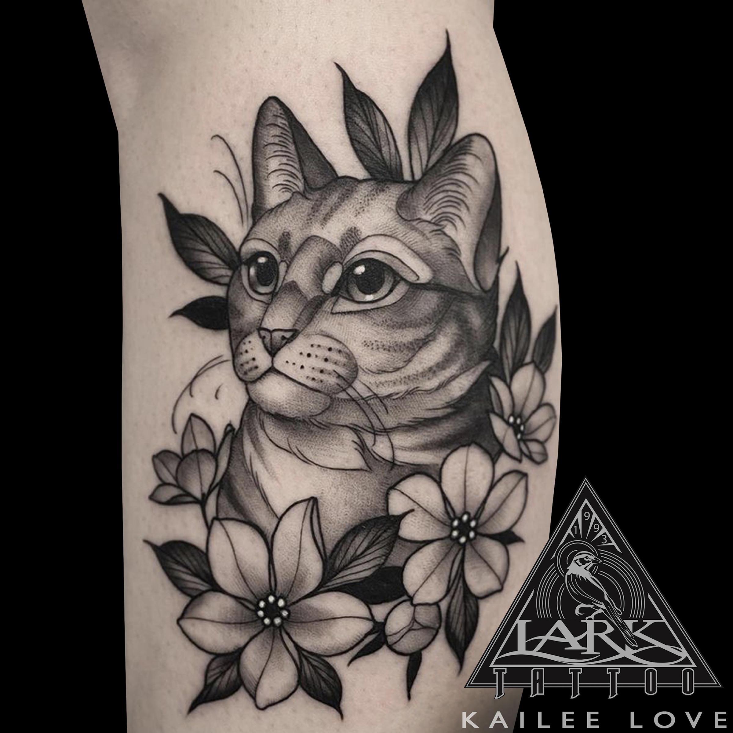 LarkTattoo, KaileeLove, KaileeLoveLarkTattoo, Tattoo, Tattoos, Cat, CatTattoo, Cattoo, Feline, FelineTattoo, Animal, AnimalTattoo, BlackAndGray, BlackAndGrayTattoo, BlackAndGrey, BlackAndGreyTattoo, BNG, BNGTattoo, BNGInkSociety, CatLovers, Flower, FlowerTattoo, FemaleArtist, FemaleTattooer, FemaleTattooArtist, TattooArtist, Tattoist, Tattooer, LongIslandTattooArtist, LongIslandTattooer, LongIslandTattoo, TattooOfTheDay, Tat, Tats, Tatts, Tatted, Inked, Ink, TattooInk, AmazingInk, AmazingTattoo, BodyArt, LarkTattooWestbury, Westbury, LongIsland, NY, NewYork, USA, Art, Tattedup, InkedUp, LarkTattoos