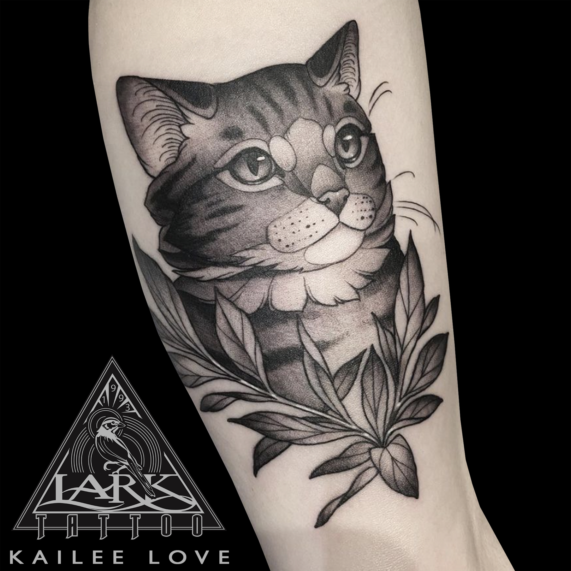 LarkTattoo, KaileeLove, KaileeLoveLarkTattoo, Tattoo, Tattoos, Cat, CatTattoo, Cattoo, AnimalTattoo, Pet, PetTattoo, Feline, FelineTattoo, FemaleArtist, FemaleTattooer, FemaleTattooArtist, LadyTattooer, BNG, BNGTattoo, BlackAndGray, BlackAndGrayTattoo, BlackAndGrey, BlackAndGreyTattoo, TattooArtist, Tattoist, Tattooer, LongIslandTattooArtist, LongIslandTattooer, LongIslandTattoo, TattooOfTheDay, Tat, Tats, Tatts, Tatted, Inked, Ink, TattooInk, AmazingInk, AmazingTattoo, BodyArt, LarkTattooWestbury, Westbury, LongIsland, NY, NewYork, USA, Art, Tattedup, InkedUp, LarkTattoos