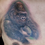 LarkTattoo, PeeWee, PeeWeeLarkTattoo, AnthonyPeeWeeSinerco, AnthonySinerco, Tattoo, Tattoos, Gorilla, GorillaTattoo, Silverback, SilverbackTattoo, SilverbackGorilla, SilverbackGorillaTattoo, AnimalTattoo, Wildlife, WildlifeTattoo, Realism, RealismTattoo, Realistic, RealisticTattoo, ChestTattoo, TattooArtist, Tattoist, Tattooer, LongIslandTattooArtist, LongIslandTattooer, LongIslandTattoo, TattooOfTheDay, Tat, Tats, Tatts, Tatted, Inked, Ink, TattooInk, AmazingInk, AmazingTattoo, BodyArt, LarkTattooWestbury, Westbury, LongIsland, NY, NewYork, USA, Art, Tattedup, InkedUp, LarkTattoos