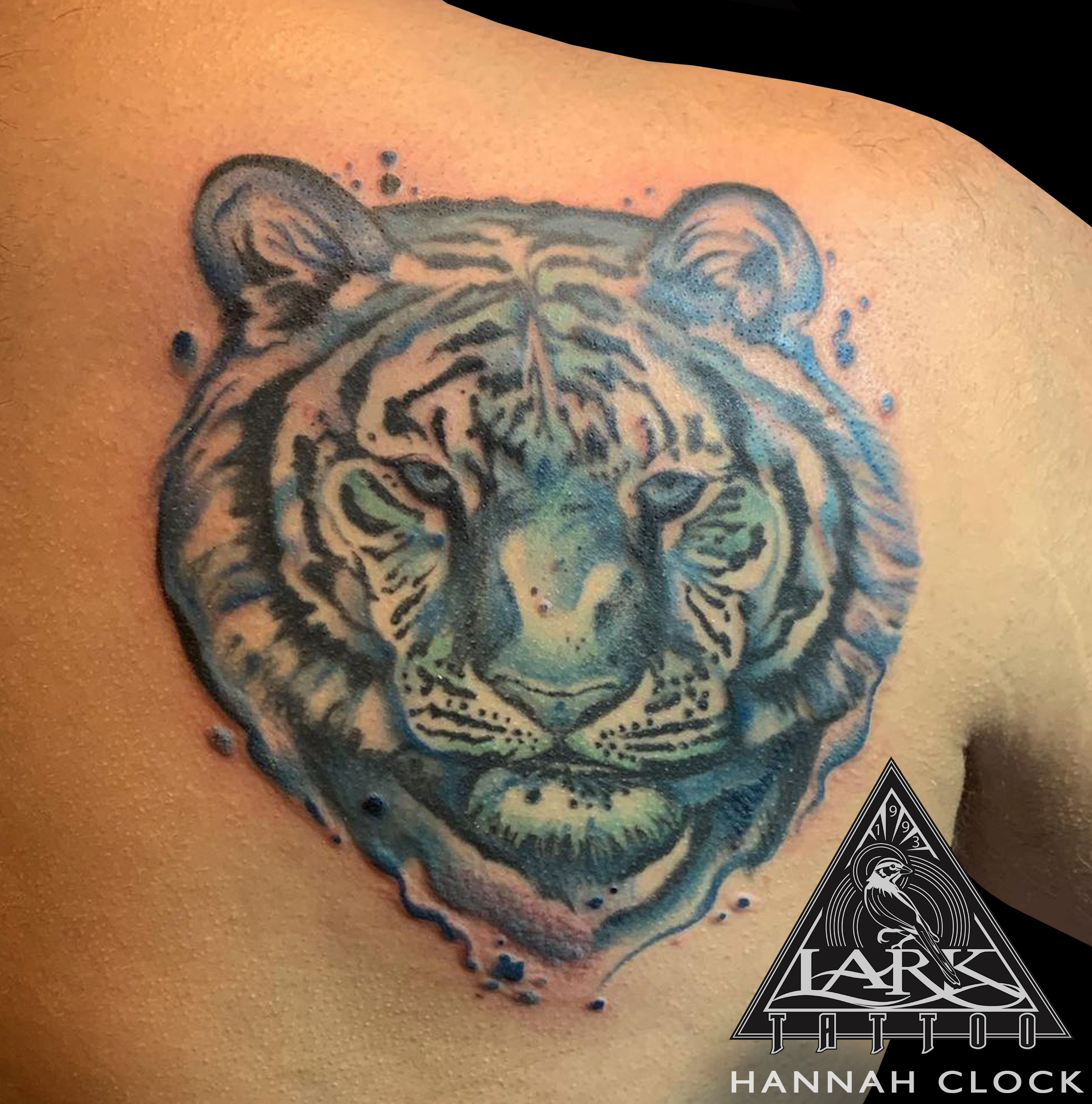 LarkTattoo, HannahClock, HannahClockLarkTattoo, FemaleTattooer, FemaleArtist, LadyTattooer, Tattoo, Tiger, TigerTattoo, Watercolor, WatercolorTattoo, Animal, AnimalTattoo, ColorTattoo, ShoulderTattoo, WatercolorTiger, WatercolorTigerTattoo, WatercolorAnimal, WatercolorAnimalTattoo, Cattoo, CatTattoo, BigCat, BigCatTattoo, WatercolorCat, WatercolorCatTattoo, Tattoos, TattooArtist, LongIslandTattooArtist, LongIslandTattooer, LongIslandTattoo, Tattoist, Tattooer, TattooOfTheDay, Tat, Tats, Tatts, Tatted, Inked, Ink, TattooInk, AmazingInk, AmazingTattoo, BodyArt, LarkTattooWestbury, Westbury, LongIsland, NY, NewYork, USA, Art, Tattedup, InkedUp, LarkTattoos