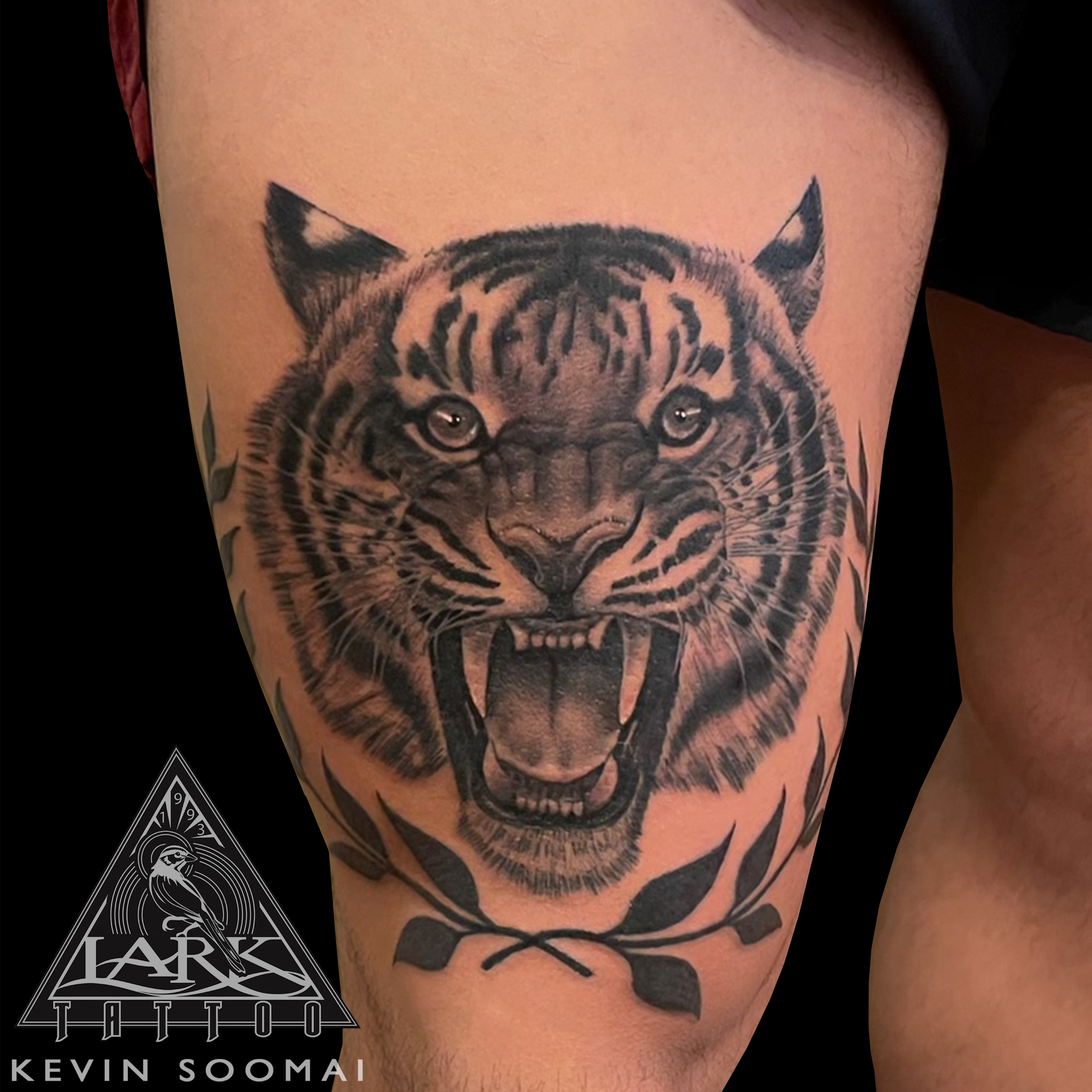 #LarkTattoo #KevinSoomai #KevinSoomaiLarkTattoo #Tattoo #Tattoos #Tiger #TigerTattoo #Cat #CatTattoo #Cattoo #BigCat #BigCatTattoo #BigCats #BigCatsTattoo #BNG #BNGTattoo #BlackAndGray #BlackAndGrayTattoo #BlackAndGrey #BlackAndGreyTattoo #Realism #RealismTattoo #Realistic #RealisticTattoo #Nature #NatureTattoo #Animal #AnimalTattoo #ThighTattoo #LegTattoo #TattooArtist #Tattoist #Tattooer #LongIslandTattooArtist #LongIslandTattooer #LongIslandTattoo #TattooOfTheDay #Tat #Tats #Tatts #Tatted #Inked #Ink #TattooInk #AmazingInk #AmazingTattoo #BodyArt #LarkTattooWestbury #Westbury #LongIsland #NY #NewYork #USA #Art #Tattedup #InkedUp #LarkTattoos