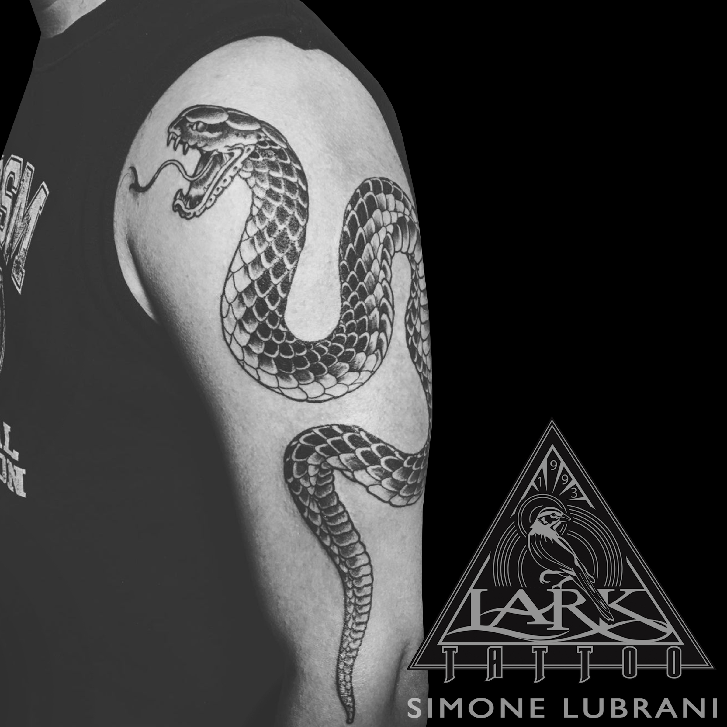 #LarkTattoo #Tattoo #SimoneLubrani #SimoneLubraniLarkTattoo #Tattoos #Snake #SnakeTattoo #Reptile #ReptileTattoo #Serpent #SerpentTattoo #BNG #BNGTattoo #BlackAndGray #BlackAndGrayTattoo #BlackAndGrey #BlackAndGreyTattoo #ArmTattoo #TattooArtist #Tattoist #Tattooer #LongIslandTattooArtist #LongIslandTattooer #LongIslandTattoo #TattooOfTheDay #Tat #Tats #Tatts #Tatted #Inked #Ink #TattooInk #AmazingInk #AmazingTattoo #BodyArt #LarkTattooWestbury #Westbury #LongIsland #NY #NewYork #USA #Art #Tattedup #InkedUp #LarkTattoos