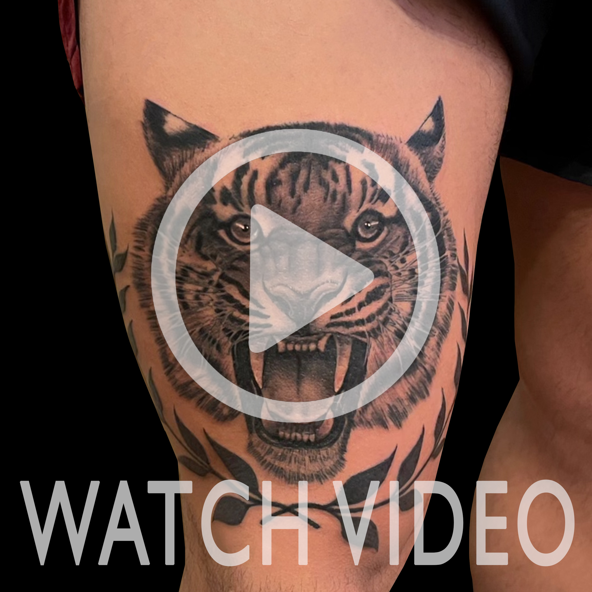 #LarkTattoo #KevinSoomai #KevinSoomaiLarkTattoo #Tattoo #Tattoos #Tiger #TigerTattoo #Cat #CatTattoo #Cattoo #BigCat #BigCatTattoo #BigCats #BigCatsTattoo #BNG #BNGTattoo #BlackAndGray #BlackAndGrayTattoo #BlackAndGrey #BlackAndGreyTattoo #Realism #RealismTattoo #Realistic #RealisticTattoo #Nature #NatureTattoo #Animal #AnimalTattoo #ThighTattoo #LegTattoo #TattooArtist #Tattoist #Tattooer #LongIslandTattooArtist #LongIslandTattooer #LongIslandTattoo #TattooOfTheDay #Tat #Tats #Tatts #Tatted #Inked #Ink #TattooInk #AmazingInk #AmazingTattoo #BodyArt #LarkTattooWestbury #Westbury #LongIsland #NY #NewYork #USA #Art #Tattedup #InkedUp #LarkTattoos