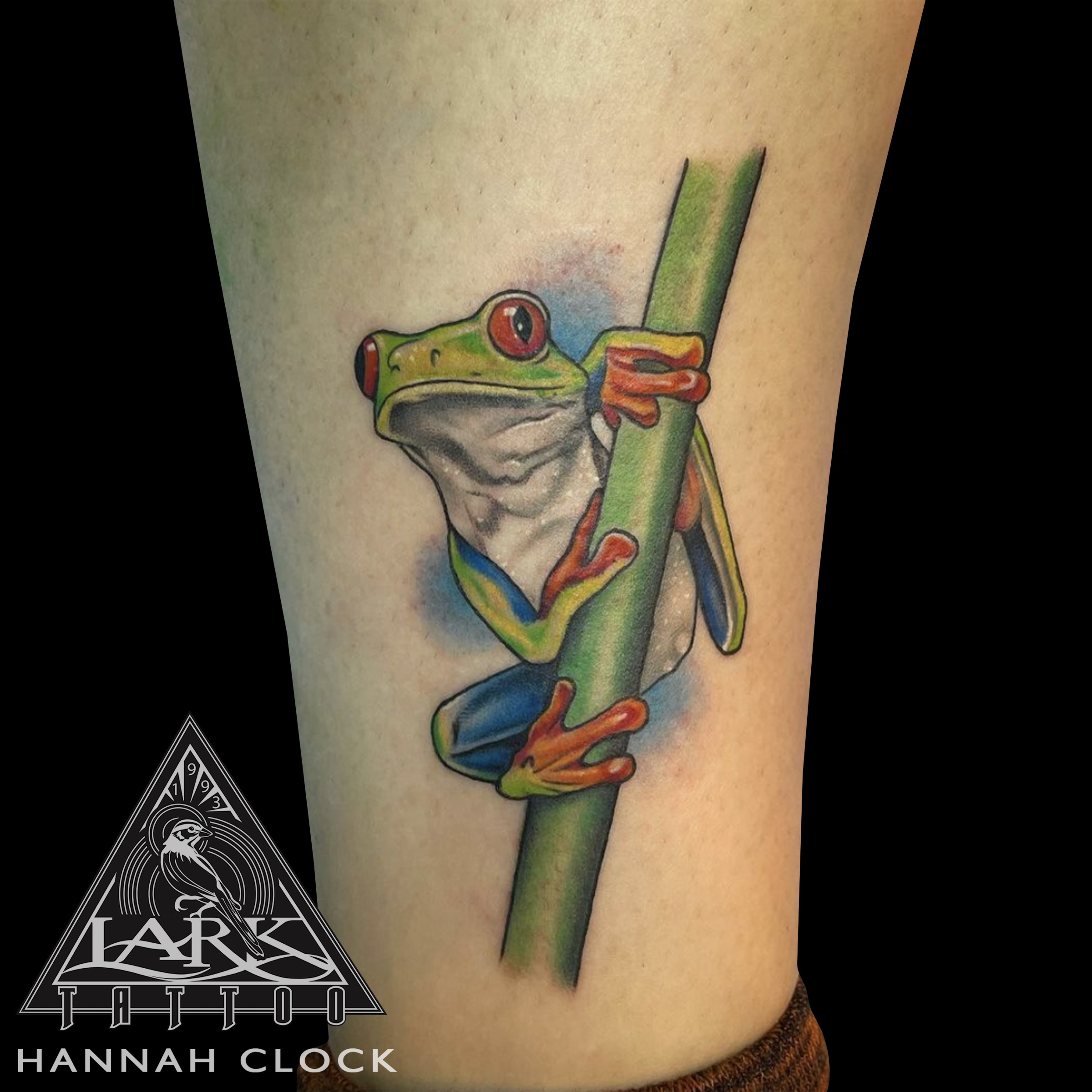 #LarkTattoo #HannahClock #HannahClockLarkTattoo #FemaleTattooer #FemaleArtist #LadyTattooer #Tattoo #Tattoos #Frog #FrogTattoo #TreeFrog #TreeFrogTattoo #AnimalTattoo #NatureTattoo #AnkleTattoo #ColorTattoo #TattooArtist #Tattoist #Tattooer #LongIslandTattooArtist #LongIslandTattooer #LongIslandTattoo #TattooOfTheDay #Tat #Tats #Tatts #Tatted #Inked #Ink #TattooInk #AmazingInk #AmazingTattoo #BodyArt #LarkTattooWestbury #Westbury #LongIsland #NY #NewYork #USA #Art #Tattedup #InkedUp #LarkTattoos