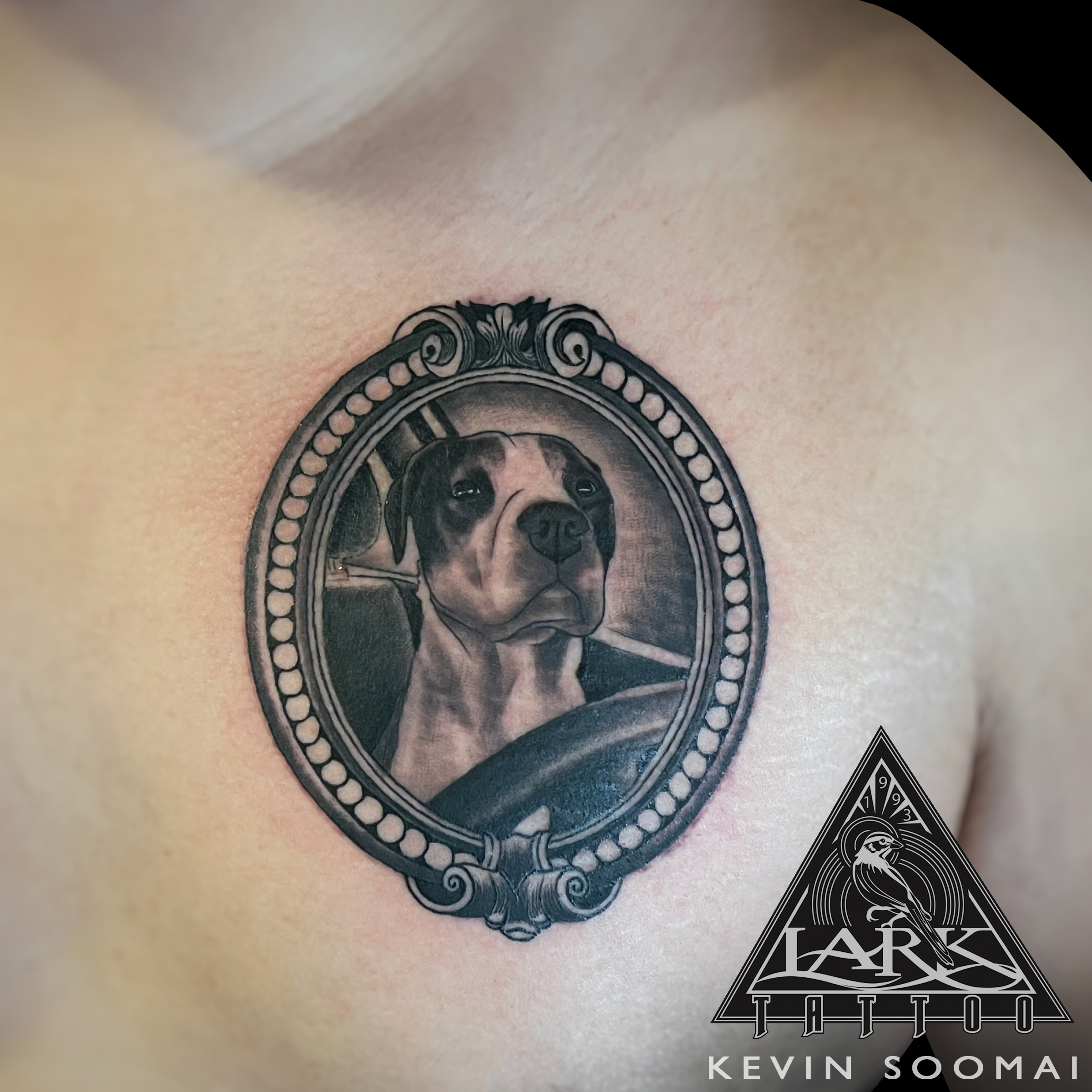 #LarkTattoo #KevinSoomai #KevinSoomaiLarkTattoo #Tattoo #Tattoos #Dog #DogTattoo #Pet #PetTattoo #Pitbull #PitbullTattoo #PetPortrait #PetPortraitTattoo #BNG #BNGTattoo #BlackAndGray #BlackAndGrayTattoo #BlackAndGrey #BlackAndGreyTattoo #Animal #AnimalTattoo #TattooArtist #Tattoist #Tattooer #LongIslandTattooArtist #LongIslandTattooer #LongIslandTattoo #TattooOfTheDay #AnimalLover #AnimalLoverTattoo #Tat #Tats #Tatts #Tatted #Inked #Ink #TattooInk #AmazingInk #AmazingTattoo #BodyArt #LarkTattooWestbury #Westbury #LongIsland #NY #NewYork #USA #Art #Tattedup #InkedUp #LarkTattoos