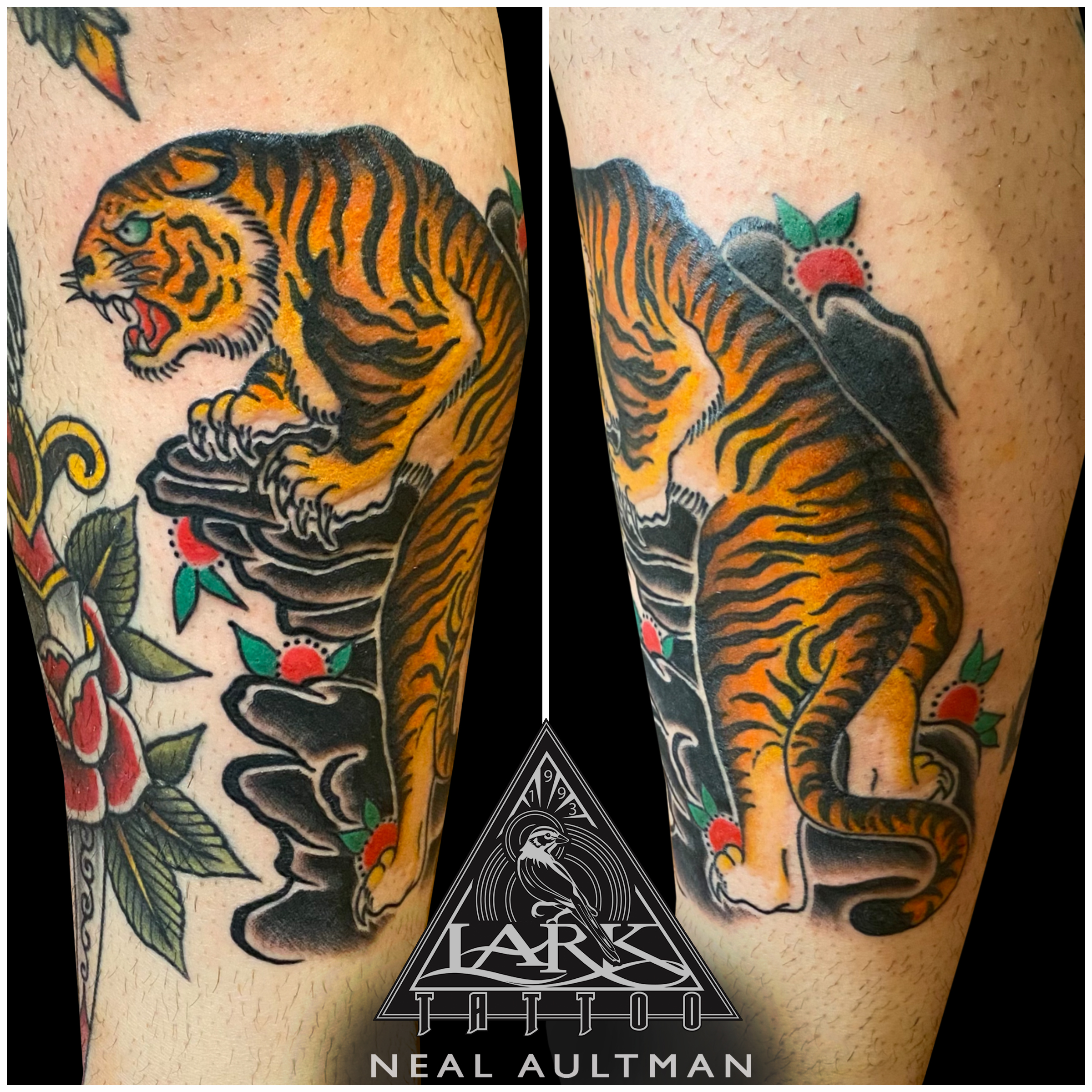 #LarkTattoo #NealAultman #NealAultmanLarkTattoo #Tattoo #Tattoos #TattooArtist #Tattoist #Tattooer #LongIslandTattooArtist #LongIslandTattooer #LongIslandTattoo #Traditional #TraditionalTattoo #TradTat #Tiger #TigerTattoo #ColorTattoo #TattooOfTheDay #Tat #Tats #Tatts #Tatted #Inked #Ink #TattooInk #AmazingInk #AmazingTattoo #BodyArt #LarkTattooWestbury #Westbury #LongIsland #NY #NewYork #USA #Art #Tattedup #InkedUp #LarkTattoos