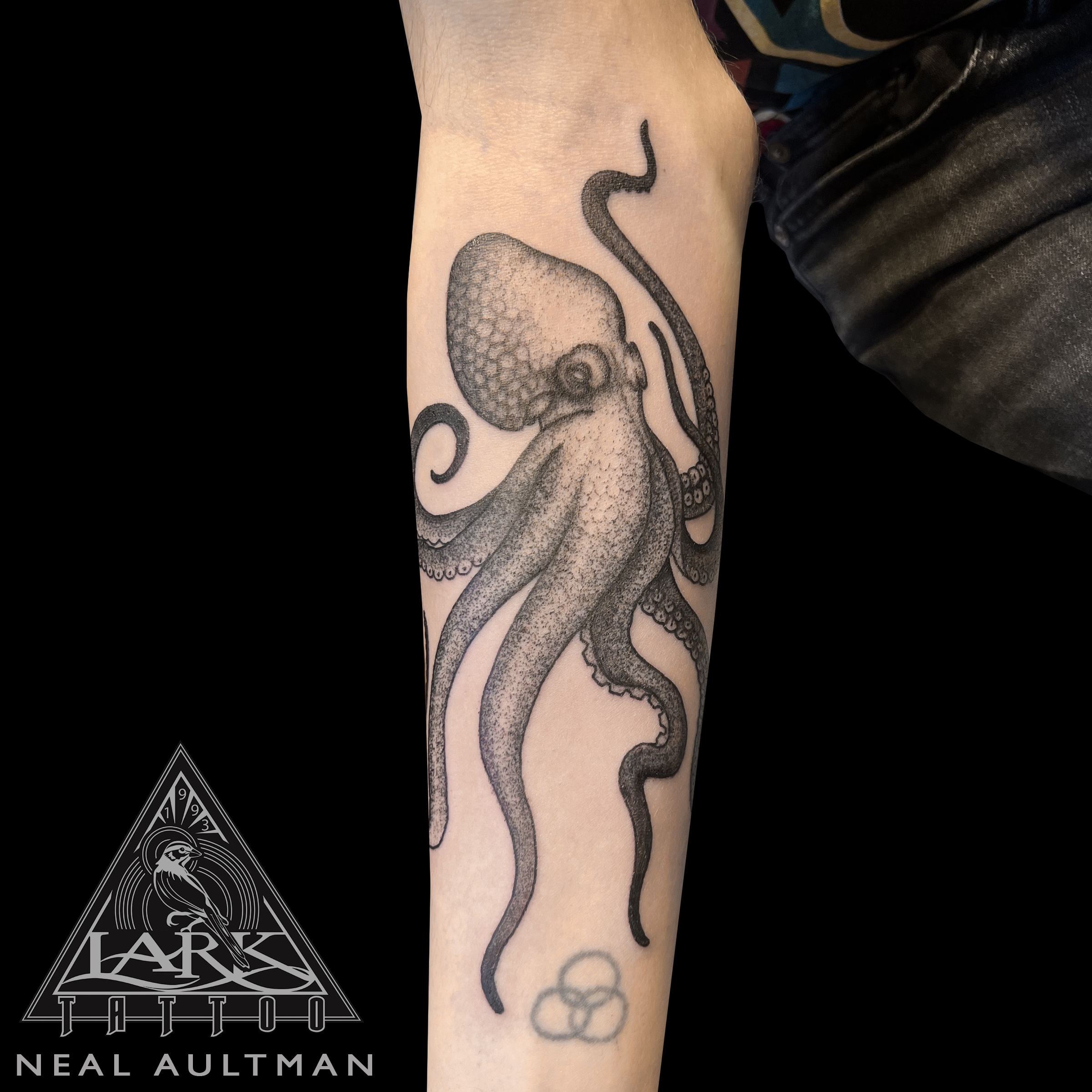 LarkTattoo, NealAultman, NealAultmanLarkTattoo, Tattoo, Tattoos, Octopus, OctopusTattoo, BNG, BNGTattoo BlackAndGray, BlackAndGrayTattoo, BlackAndGrey, BlackAndGreyTattoo, BNGInkSociety, Stipple, StippleTattoo, ForearmTattoo, Tentacles, TentaclesTattoo, AnimalTattoo, SealifeTattoo , TattooArtist, Tattoist, Tattooer, LongIslandTattooArtist, LongIslandTattooer, LongIslandTattoo, TattooOfTheDay, Tat, Tats, Tatts, Tatted, Inked, Ink, TattooInk, AmazingInk, AmazingTattoo, BodyArt, LarkTattooWestbury, Westbury, LongIsland, NY, NewYork, USA, Art, Tattedup, InkedUp, LarkTattoos