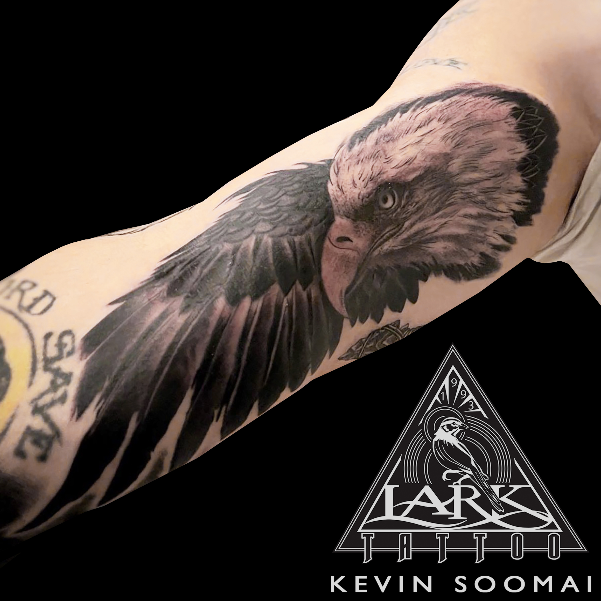 LarkTattoo, KevinSoomai, KevinSoomaiLarkTattoo, Tattoo, Tattoos, Eagle, EagleTattoo, BaldEagle, BaldEagleTattoo, Bird, BirdTattoo, BirdOfPrey, BirdOfPreyTattoo, Animal, AnimalTattoo, Realism, RealismTattoo, Realistic, RealisticTattoo, TattooArtist, Tattoist, Tattooer, LongIslandTattooArtist, LongIslandTattooer, LongIslandTattoo, TattooOfTheDay, Tat, Tats, Tatts, Tatted, Inked, Ink, TattooInk, AmazingInk, AmazingTattoo, BodyArt, LarkTattooWestbury, Westbury, LongIsland, NY, NewYork, USA, Art, Tattedup, InkedUp, LarkTattoos