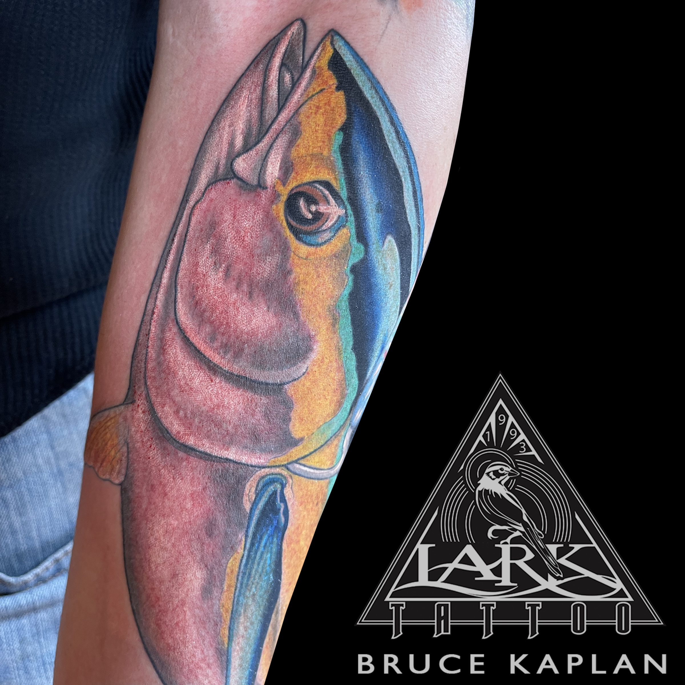 LarkTattoo, BruceKaplan, BruceKaplanLarkTattoo, Tattoo, Tattoos, Fish, Fishtattoo, Nature, NatureTattoo, TunaTattoo, Fishing, fishingTattoo, ColorTattoo, TattooArtist, Tattoist, Tattooer, LongIslandTattooArtist, LongIslandTattooer, LongIslandTattoo, TattooOfTheDay, Tat, Tats, Ink, AmazingInk, AmazingTattoo, BodyArt, LarkTattooWestbury, Westbury, LongIsland, LarkTattoos