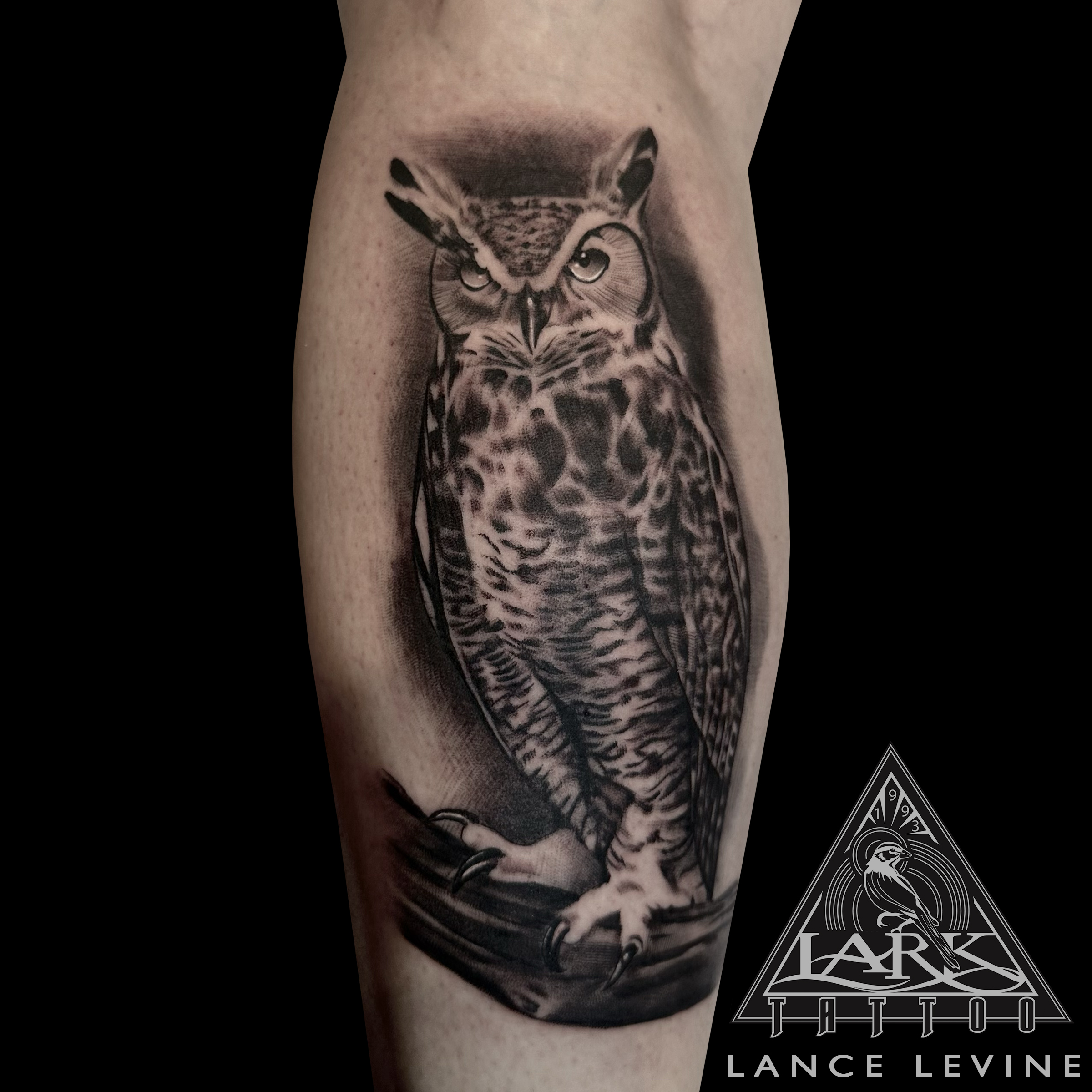 #LarkTattoo #Tattoo #Tattoos #LanceLevine #LanceLevineLarkTattoo #Owl #OwlTattoo #HornedOwl #HornedOwlTattoo #GreatHornedOwl #GreatHornedOwlTattoo #Nature #NatureTattoo #Bird #BirdTattoo #BuboVirginianus #BuboVirginianusTattoo #Realism #RealismTattoo #Realistic #RealisticTattoo #BlackAndGrey #BlackAndGreyTattoo #BlackAndGray #BlackAndGrayTattoo #TattooArtist #Tattoist #Tattooer #LongIslandTattooArtist #LongIslandTattoo #LongIslandTattooer #TattooOfTheDay #Tat #Tats #Tatts #Tatted #Inked #Ink #TattooInk #AmazingInk #AmazingTattoo #BodyArt #LarkTattooWestbury #Westbury #LongIsland #NY #NewYork #USA #Art #Tattedup #InkedUp #LarkTattoos