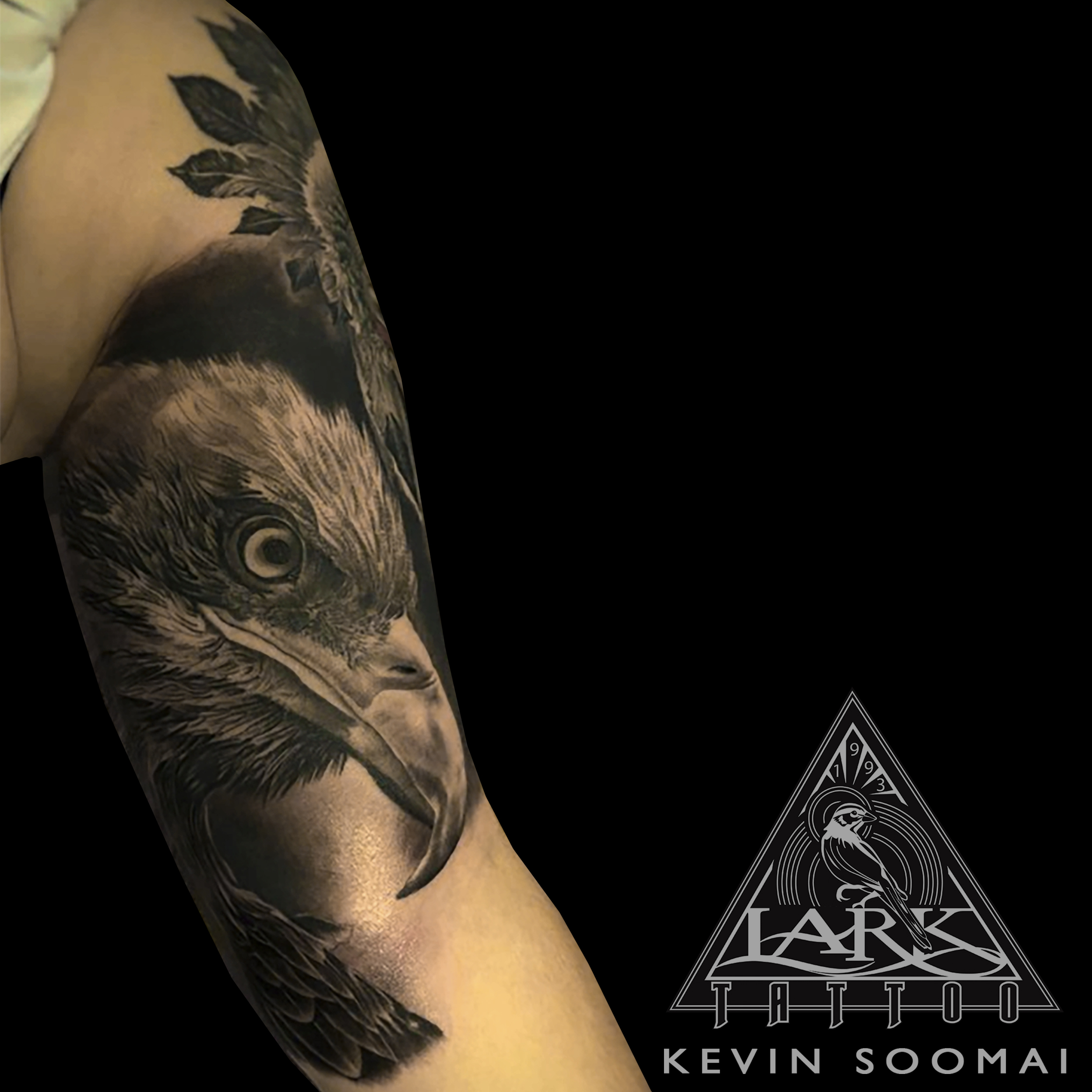 LarkTattoo, KevinSoomai, KevinSoomaiLarkTattoo, Tattoo, Tattoos, Eagle, EagleTattoo, Bird, BirdTattoo, AnimalTattoo, BirdLovers, BirdLoversTattoo, Realistic, RealisticTattoo, Realism, RealismTattoo, BaldEagle, BaldEagleTattoo, NatureTattoo, Nature, WildlifeTattoo, WildlifePortrait, WildlifePortraitTattoo, ArmTattoo